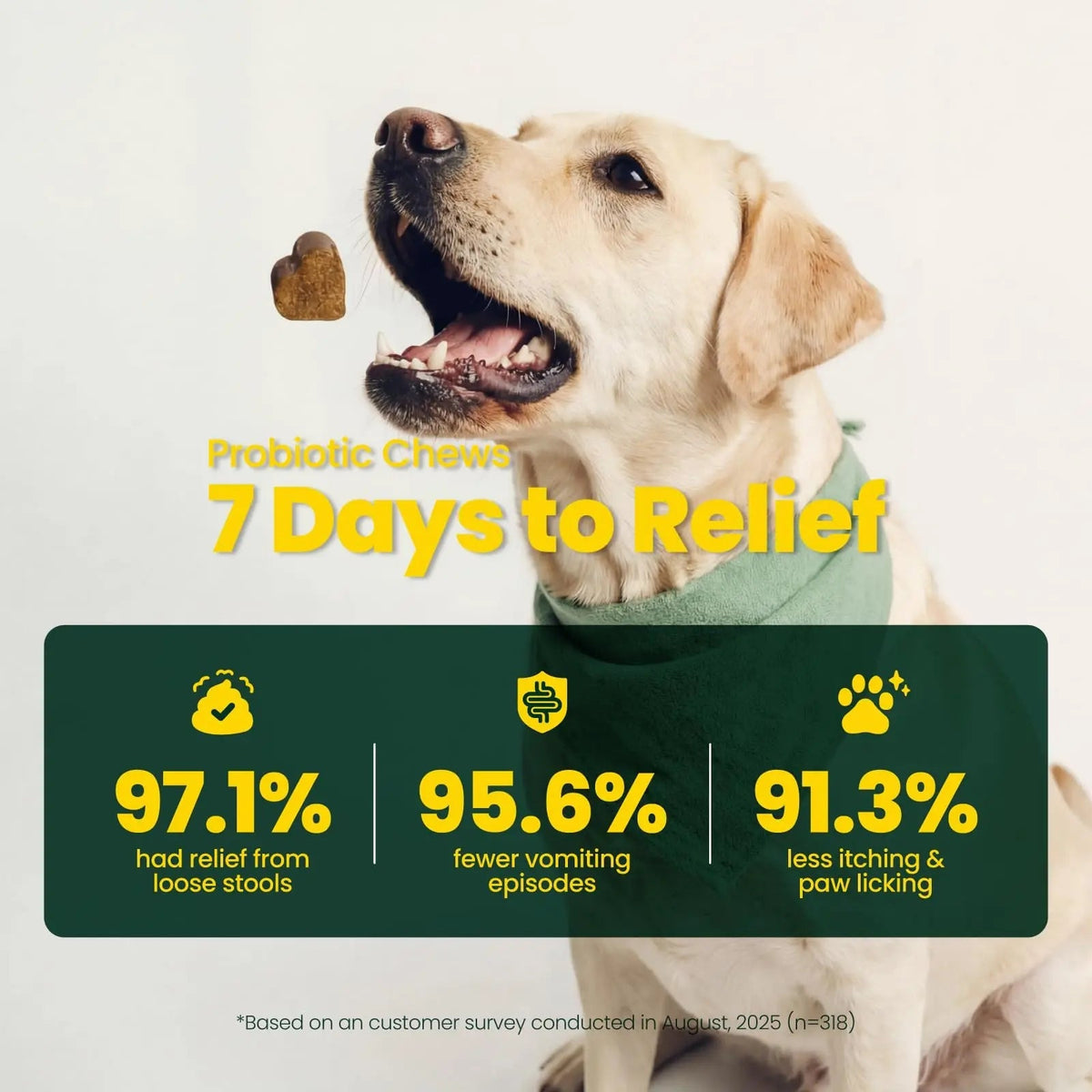 Boops Pets Probiotics for Dogs – 30 Billion CFU with Pre, Postbiotics & Digestive Enzymes – Supports Gut Health, Immunity, Loose Stools & Allergies – Filet Mignon Flavor – Vet Formulated – 60 Chews Boops Pets