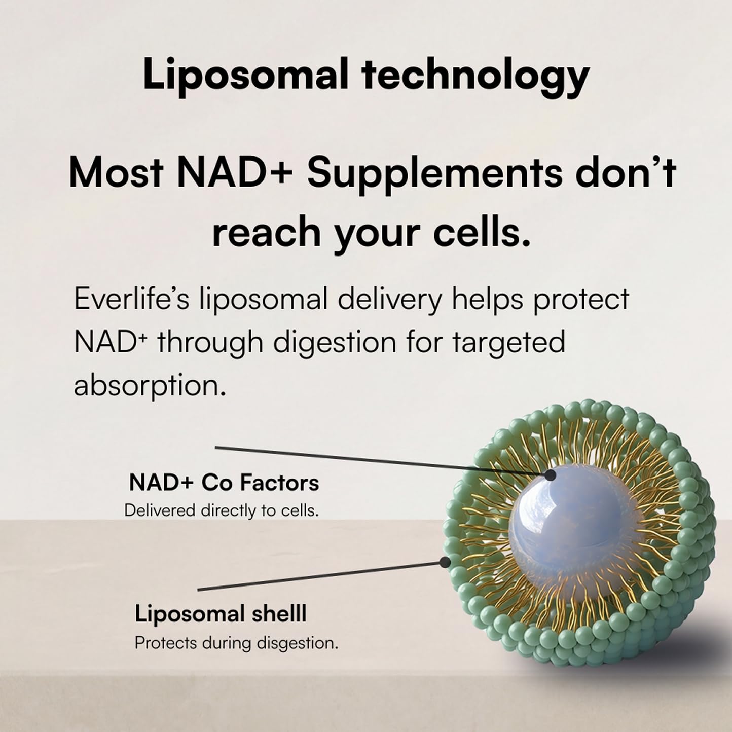 Everlife Liposomal NAD+ Liquid Supplement – 150mg Shot with Liposomal Trans-Resveratrol, TMG & Glycine – Boosts Energy, Cellular Repair, Healthy Aging & Longevity – NMNH Alternative – 30 Servings Everlife