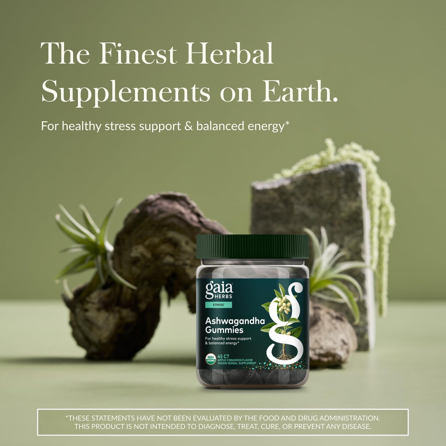 Gaia Herbs Organic Ashwagandha Gummies - Stress Support* - Made with Cinnamon & Ginger - Gluten Free & Vegan - 45 Count (15 Servings) Gaia Herbs