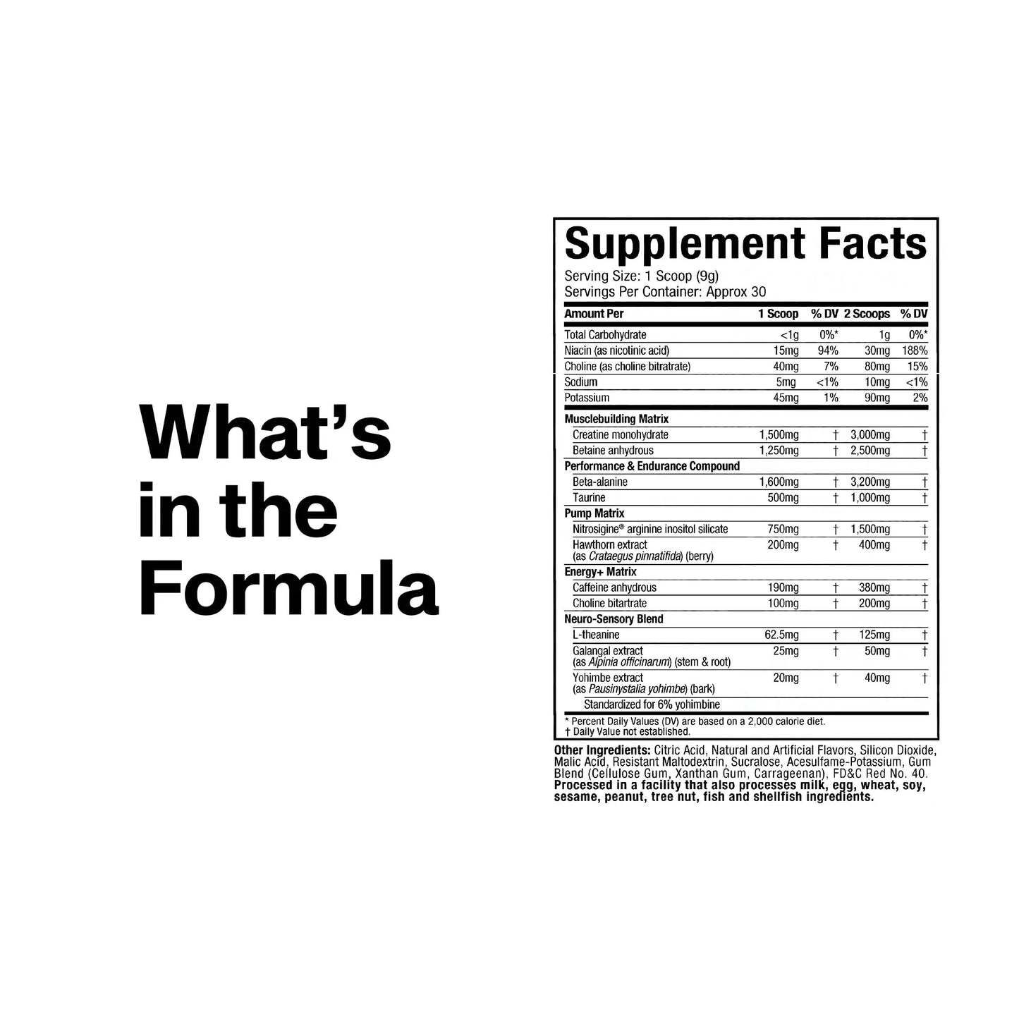 MuscleTech Pre-Workout Powder, Vapor X5 - Sports Nutrition Muscle Building Supplements for Women & Men - Intense Muscle Pump Energy Powder Drink Mix MuscleTech