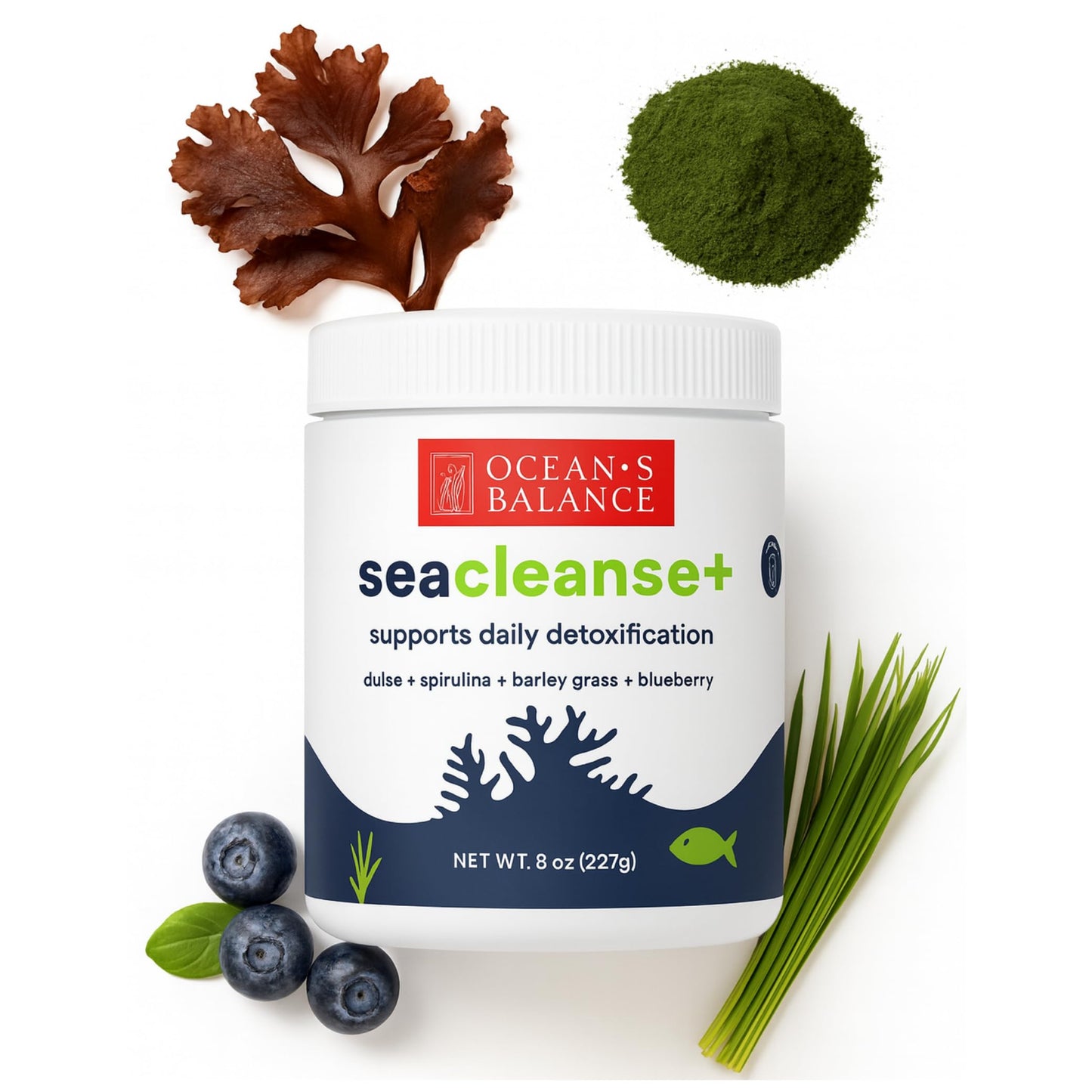 Ocean's Balance Seacleanse+ Daily Detox Cleanse Powder | Gut Health & Immune Support | Supports Gentle Cleanse & Vitality | 8oz Ocean's Balance Clean Taste of Maine