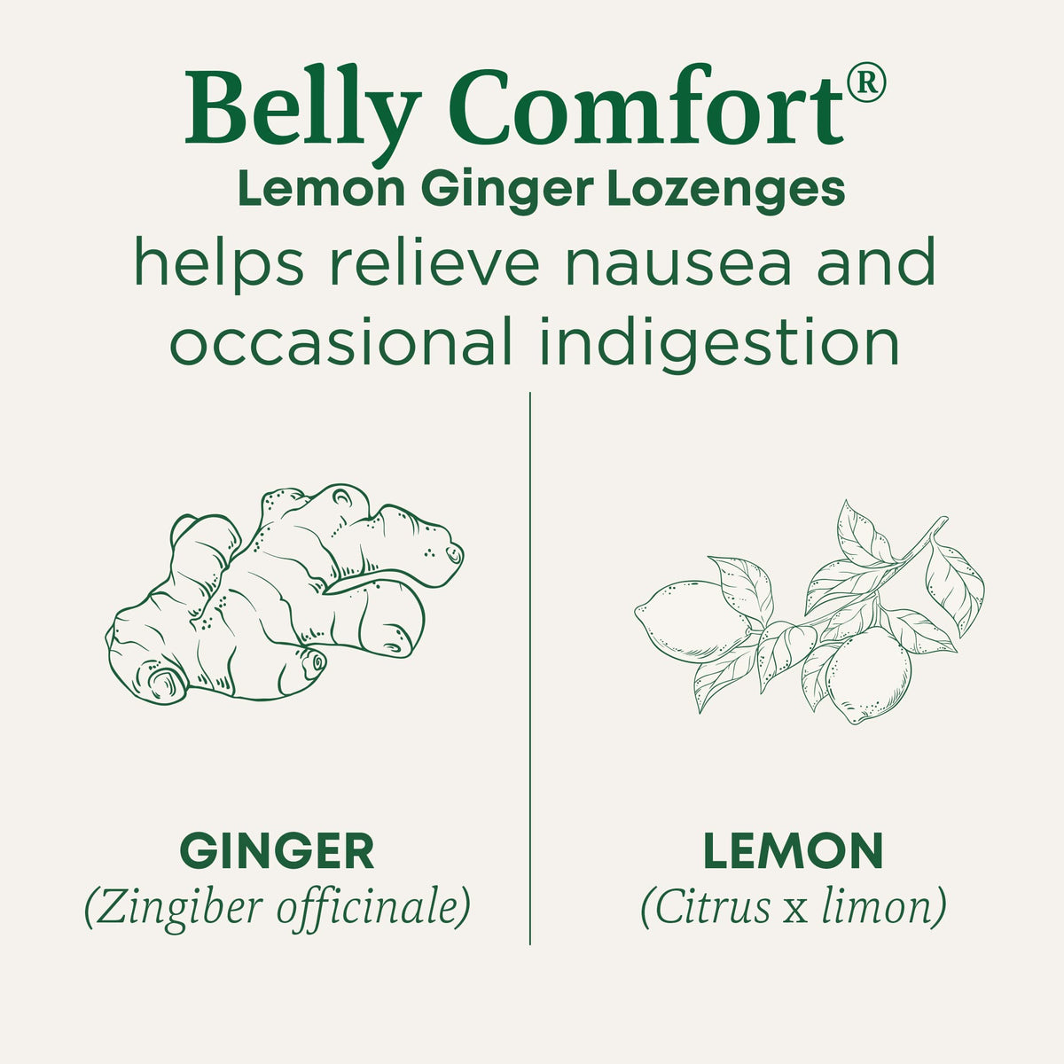 Traditional Medicinals Organic, Belly Comfort Lozenges, Lemon Ginger - Supports Nausea Relief and Occasional Indigestion - Non-GMO, Stimulant-Free Traditional Medicinals