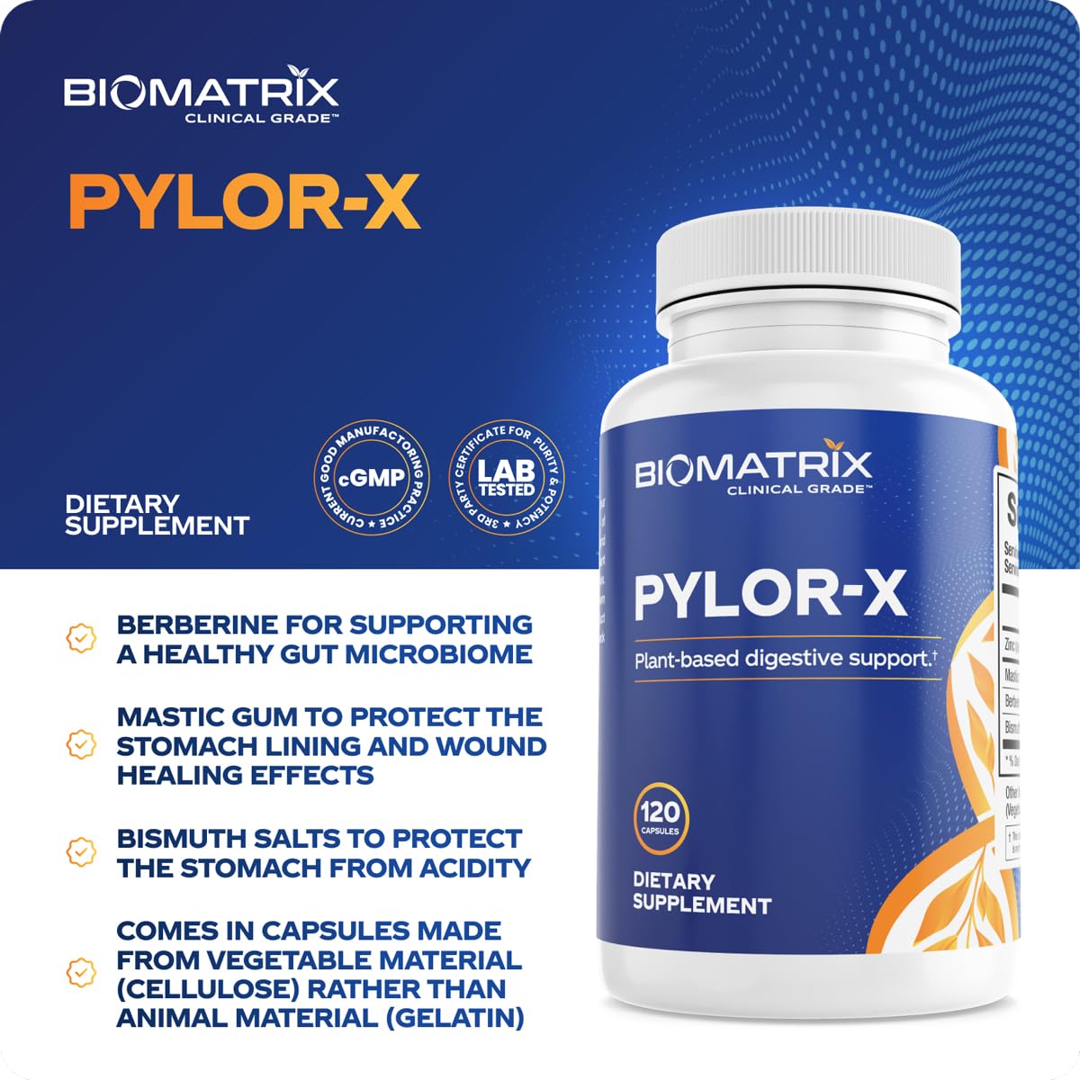 BioMatrix Pylor-X Gut Health Supplement – Mastic Gum, Berberine, Zinc Carnosine & Bismuth Salts for Gastric Support, Digestive Comfort, Stomach Lining Protection - (120 Capsules) 30-60 Day Supply BioMatrix