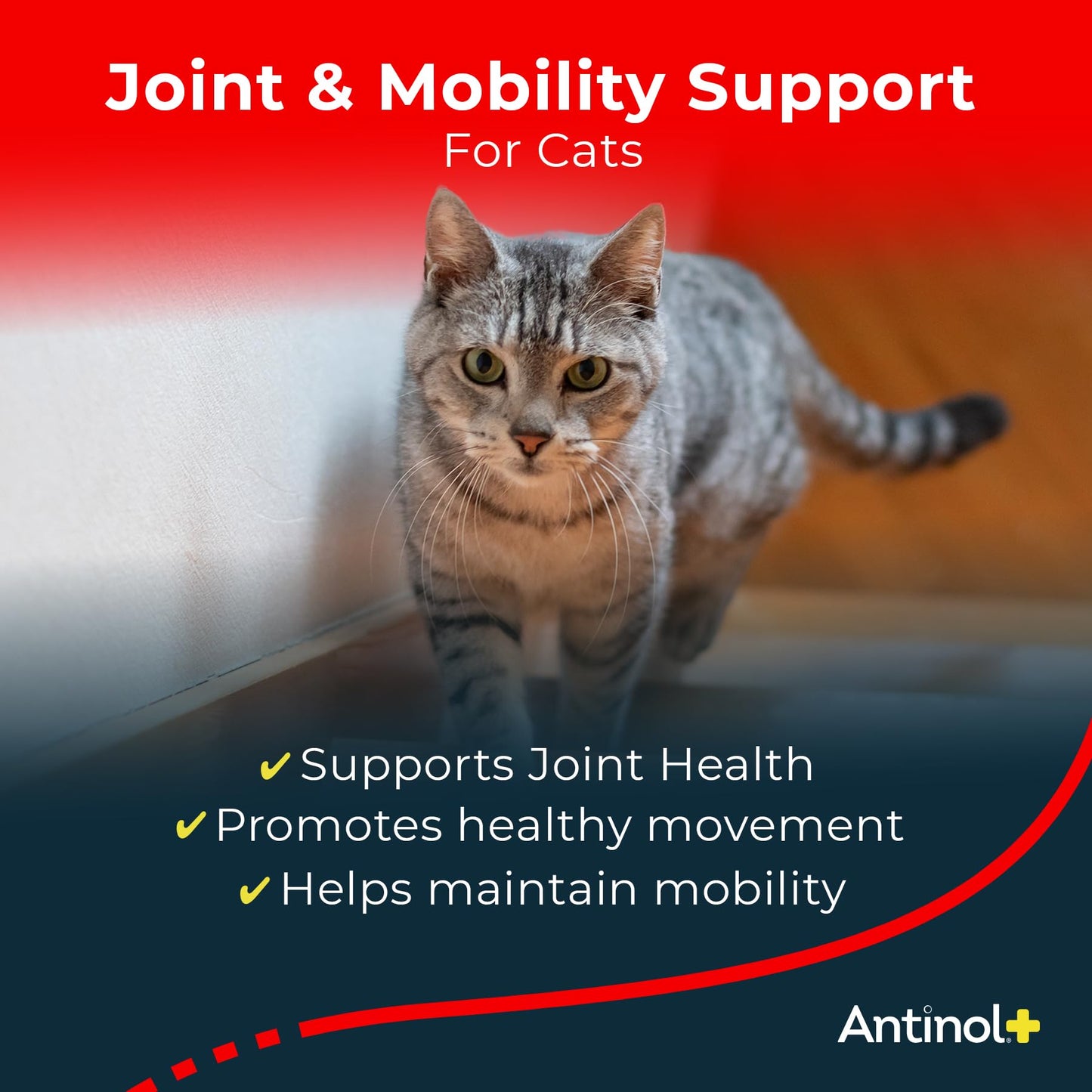 Antinol Plus, Mobility, Hip, and Joint Supplement for Cats, Green-Lipped Mussels and Krill Oil - Cat Joint Supplement, 30 Soft Gels Antinol