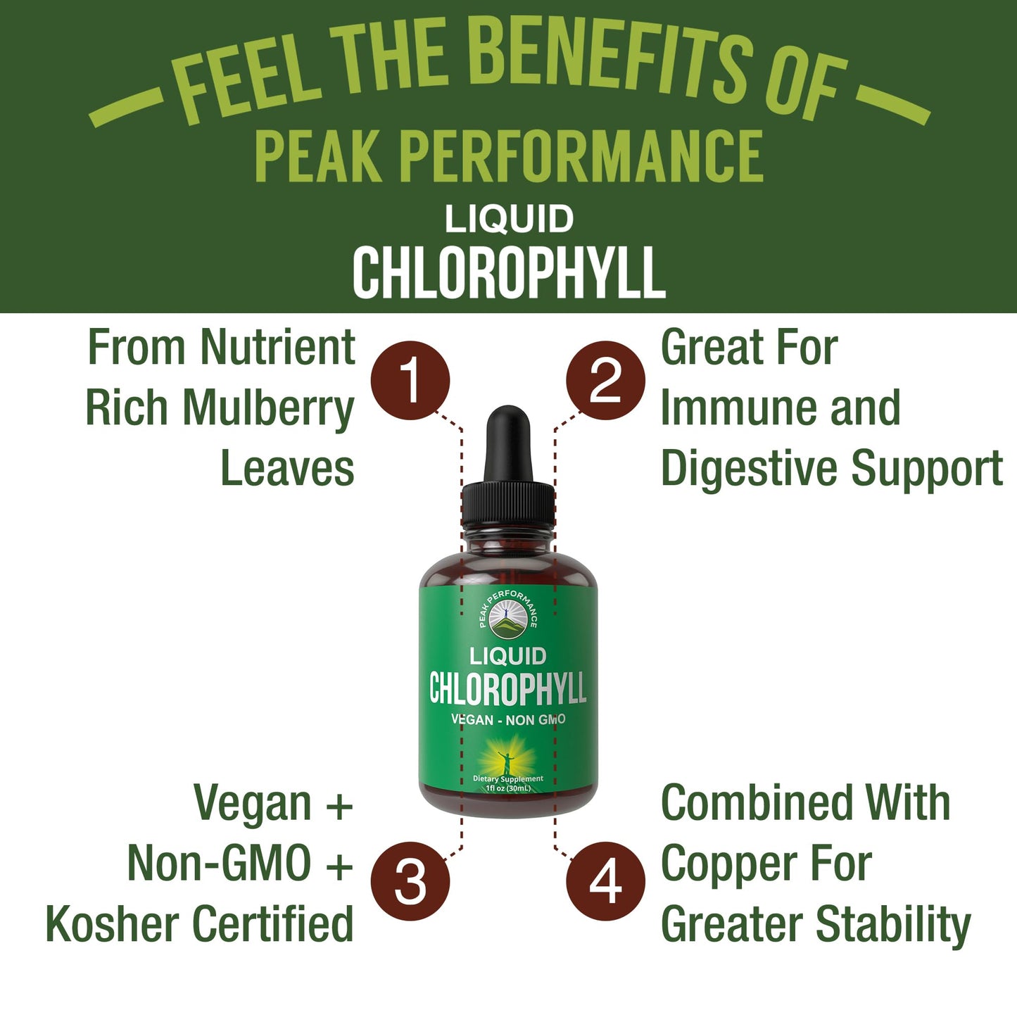 Chlorophyll Liquid Drops - Ultra High Purity, Alcohol Free, Non-GMO, Gluten Free Liquid Chlorophyll Drops Supplement. Take with Water. Internal Deodorant + Skin Care, Immune, and Digestive Support Peak Performance