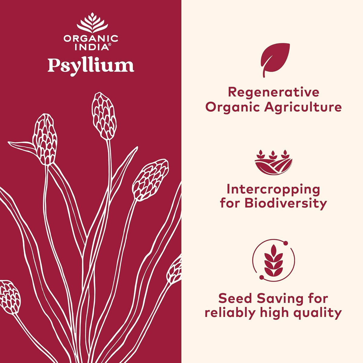 ORGANIC INDIA Psyllium Herbal Powder - Whole Husk Fiber, Vegan, Gluten-Free, USDA Certified Organic, Non-GM ORGANIC INDIA