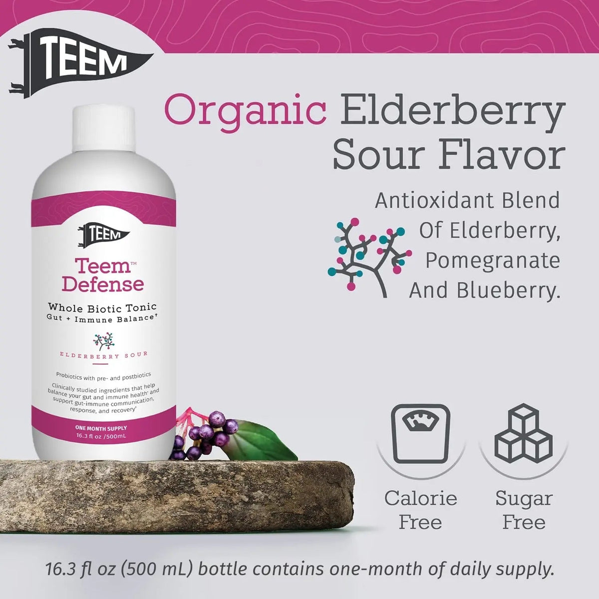 Teem Defense Liquid Probiotic with Elderberry, Whole Biotic Tonic for Digestion & Immunity, Prebiotic Probiotic & Postbiotic Supplement for Kids and Adults, 30 Day Supply – 16.3 Fl.Oz Teem