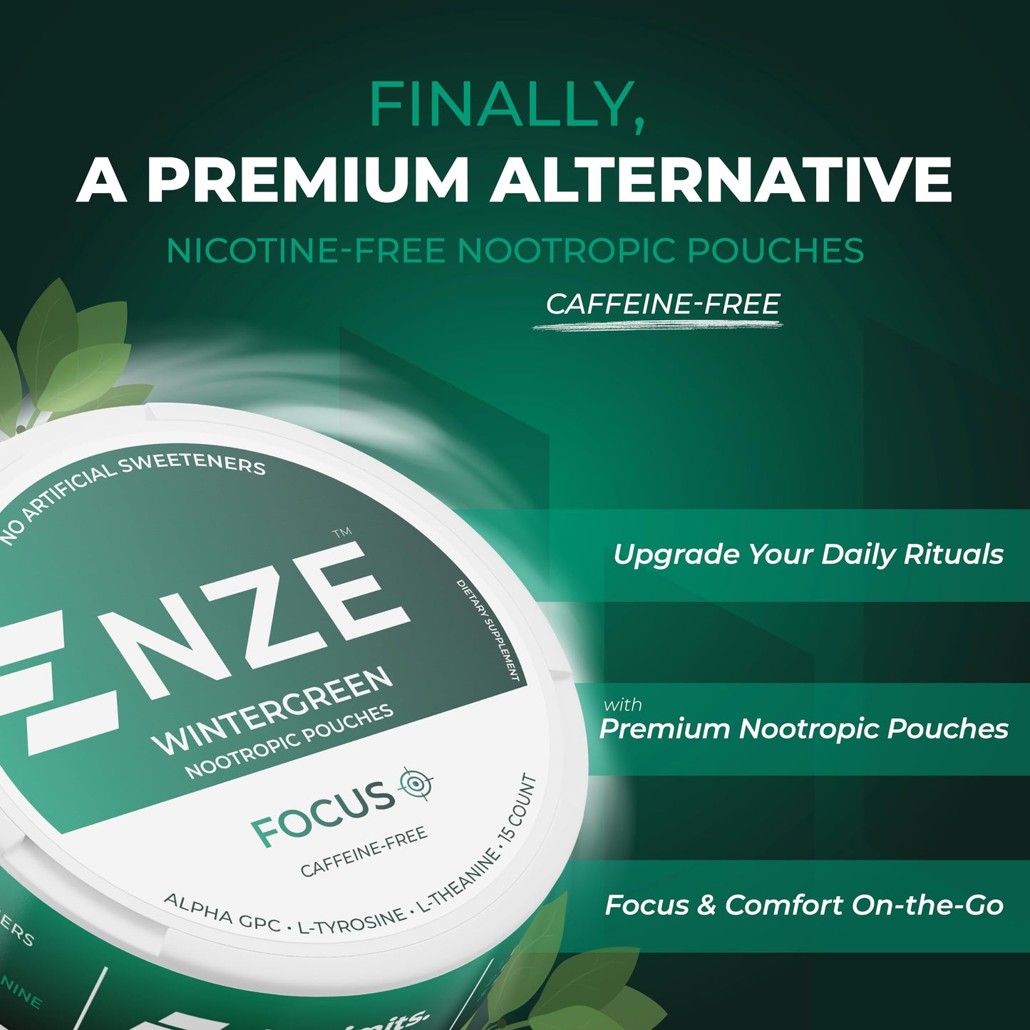 NZE Caffeine Free Nootropic Pouches (Wintergreen) - Nootropic Pouches with Alpha GPC, L-Tyrosine & L-Theanine - No Sugar or Artificial Sweeteners - 15 Pouches Per Can - 5 Pack NZE