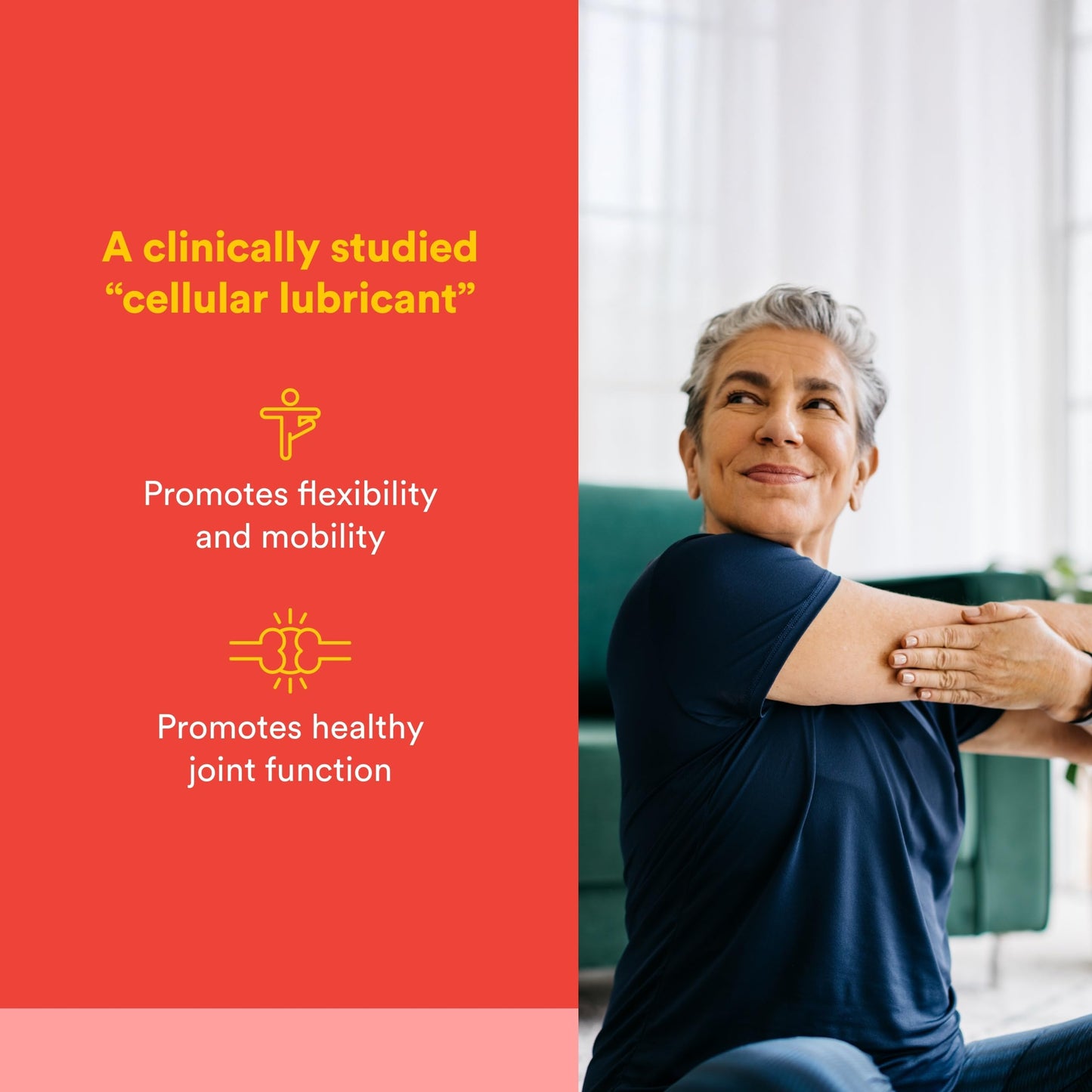 Natural Factors, Celadrin Joint Health, Promotes Flexibility, Mobility and Joint Function, 90 Softgels Natural Factors