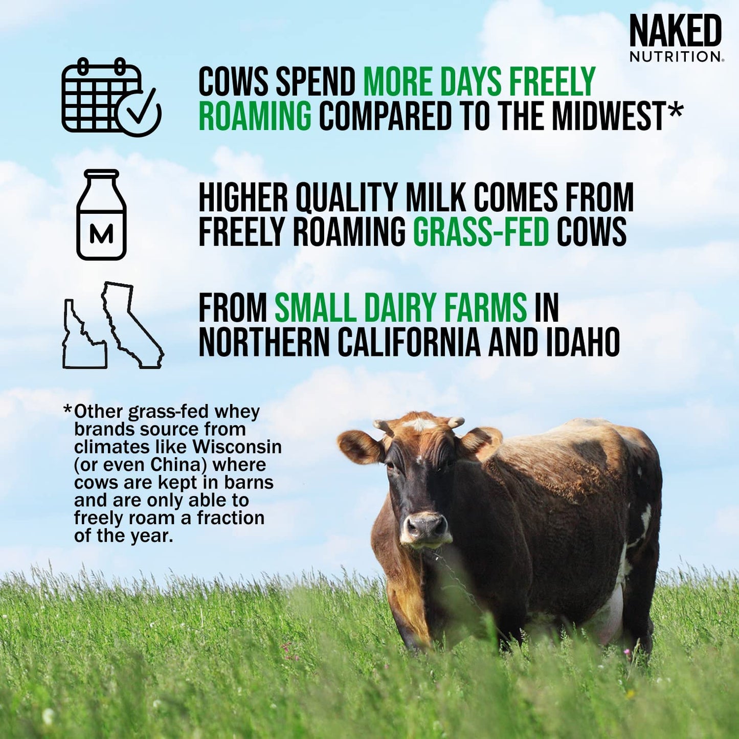 NAKED Whey Double Chocolate Grass Fed Whey Protein Powder, No GMO, No Soy NAKED