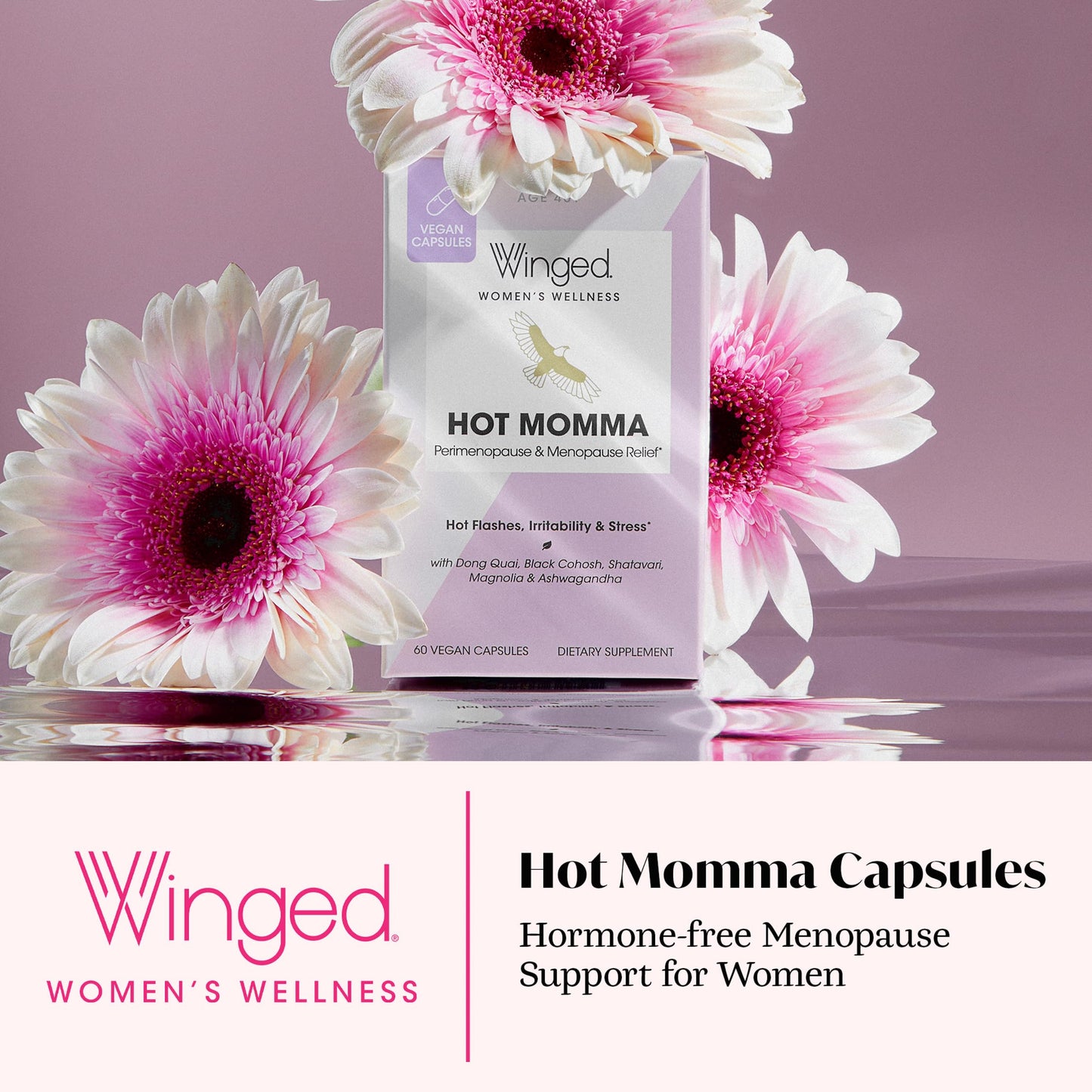 Winged Wellness Hot Momma Menopause Supplements for Women - Hormone-Free Menopause Relief Support for Hot Flashes & Night Sweats with Chaste Tree Berry, Multivitamins & Shatavari - 60 Vegan Capsules Winged Wellness