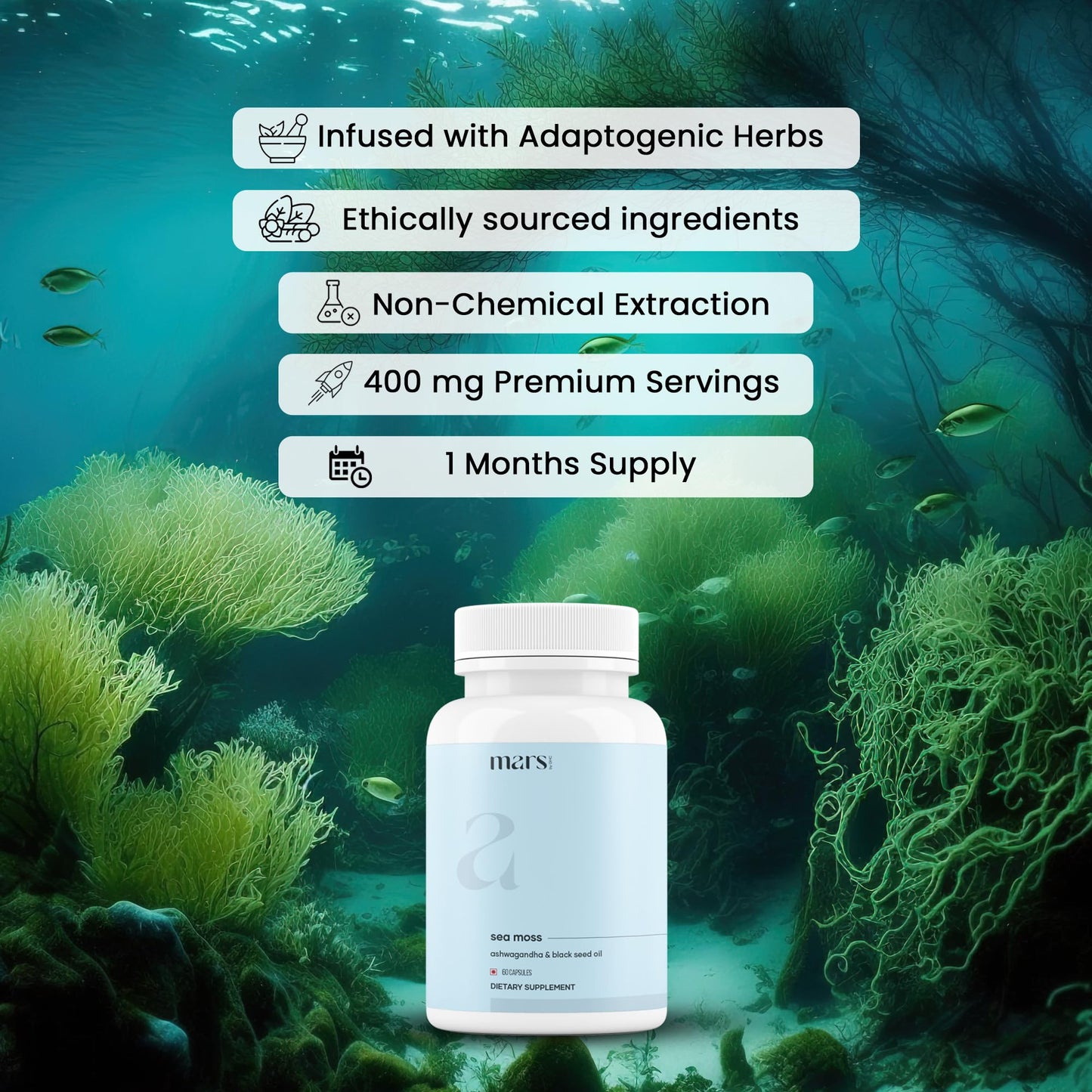 mars by GHC Mars Surge Natural Sea Moss Caps (60N) | Packed with 84 Minerals | Powered with Black Seed Oil | | Overall Well Being - Pack of 1 mars by GHC