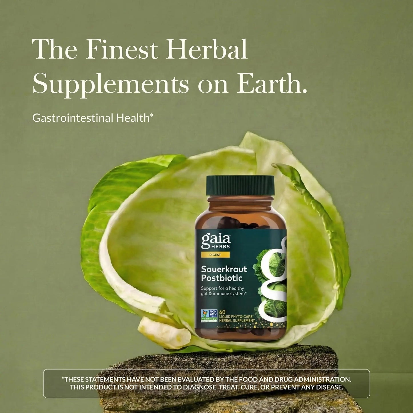 Gaia Herbs Sauerkraut Postbiotic - Gut Health & Immune Support Supplement* - Made with Fermented Sauerkraut - Free from Dairy, Soy & Gluten - 60 Vegan Liquid Phyto-Caps (30 Servings) Gaia Herbs