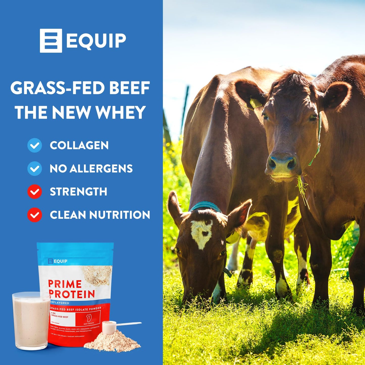 Equip Foods Prime Protein - Grass Fed Beef Protein Powder Isolate - Paleo and Keto Friendl Equip