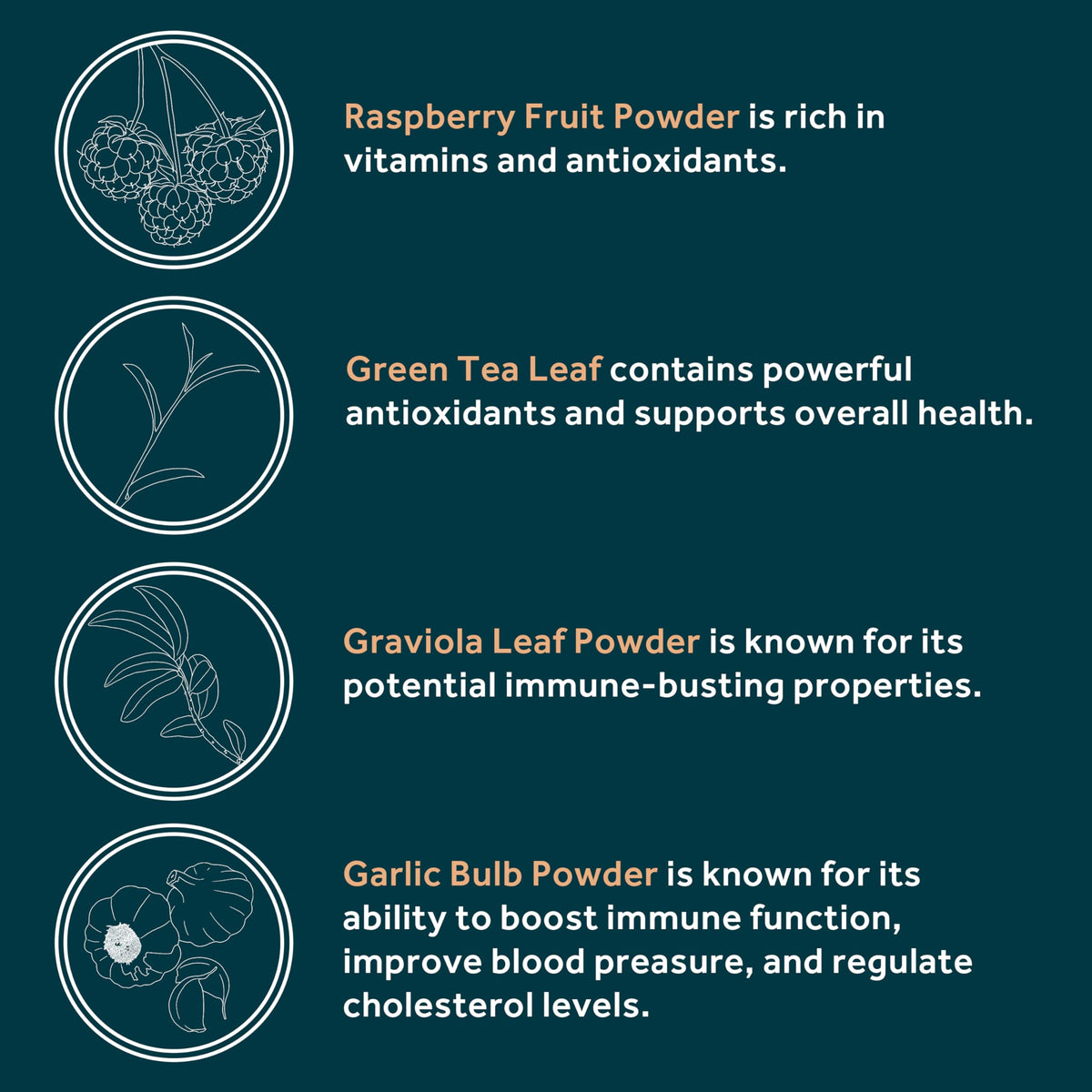Immuni - Immune Support - Vitamin Supplement for Cold & Flu Relief - Natural Immunity System Booster - Vitamin C & E, Rasberry Fruit Powder, Green Tea Leaf, Olive leaf, and more - 30 Capsules OWL Balance