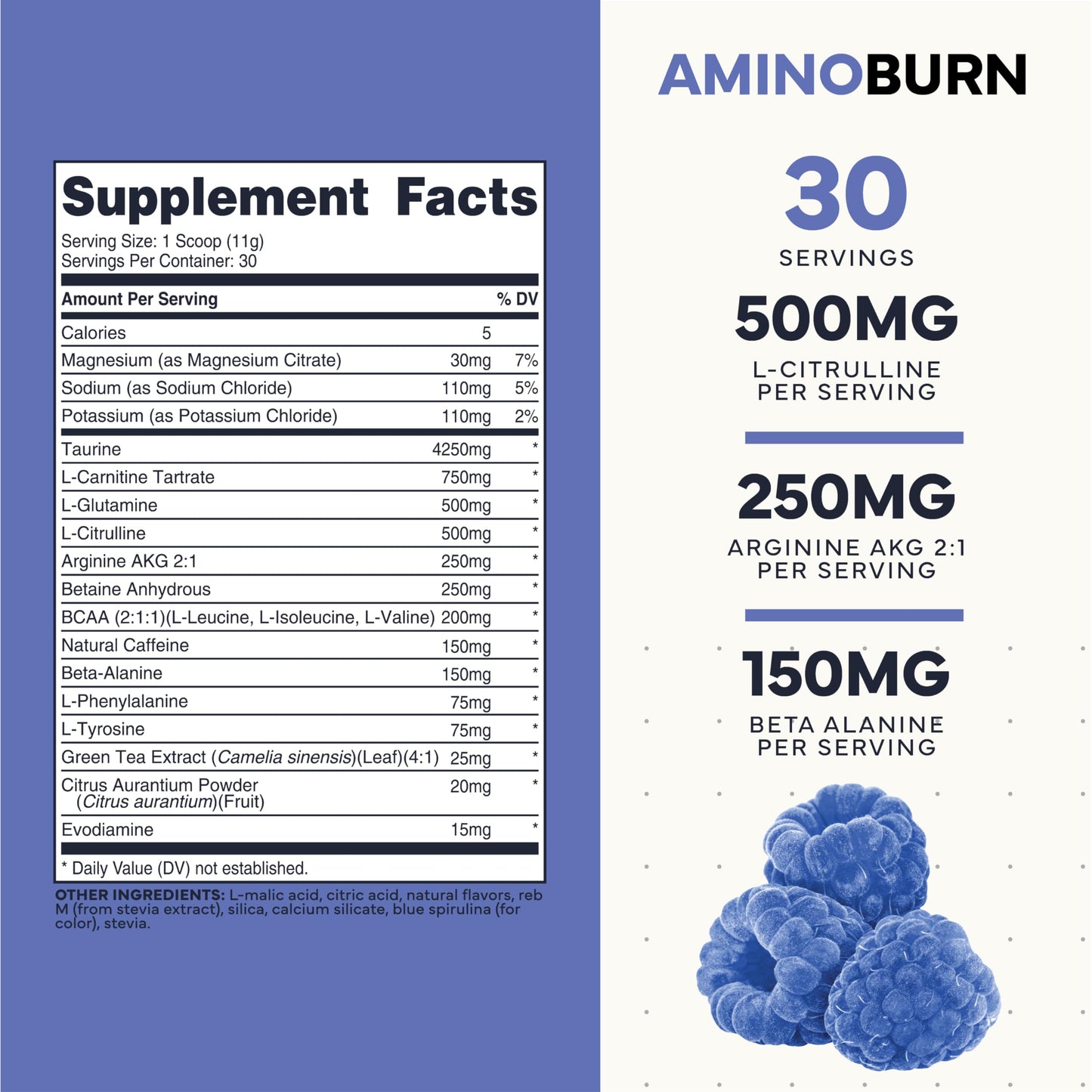 Type Zero Amino Burn - Vegan BCAA + Clean Pre Workout Powder with Arginine AKG, L-Citrulline & Beta Alanine - Amino Acid Clean Energy, Endurance & Hydration Supplement - Blue Raspberry, 30 Servings Type Zero