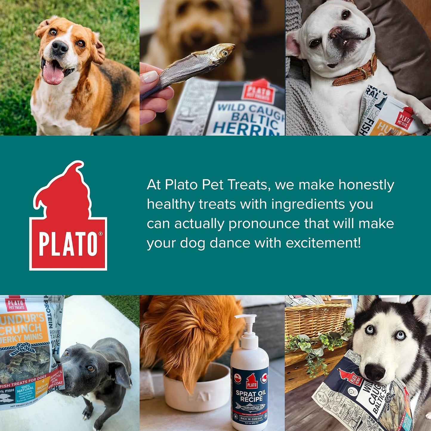 Plato Pet Treats Fish Dog Treats - Air-Dried, Single Ingredient Pet Treat - Omega 3 & 6 Fatty Acids to Support Skin and Coat - 100% Whole Fish - Wild Caught Baltic Herring - 3oz - 2 Pack Gsupps Australia