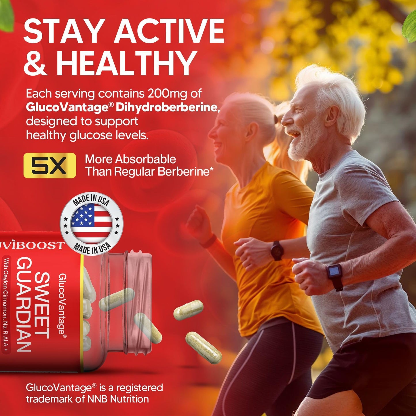 NUVIBOOST Super Dihydroberberine (GlucoVantage®) 200mg with Ceylon Cinnamon, Alpha Lipoic Acid, Selenium, Gymnema Sylvestre, Benfotiamine and Others for Overall Immunity. NUVIBOOST