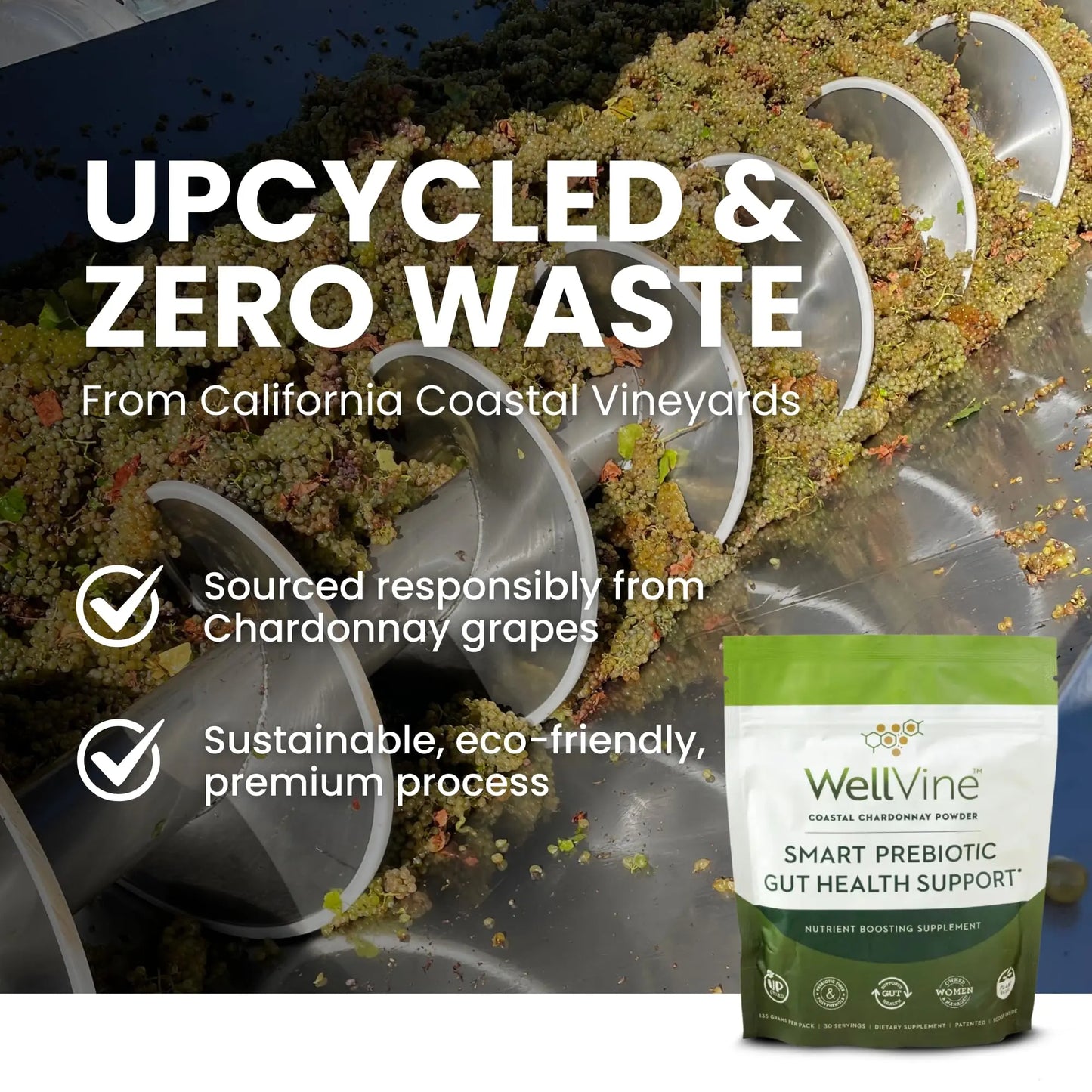 WellVine Premium Smart Prebiotic Gut Health Supplement Powder for Men & Women | Digestive Support & Gut Health With 100% Upcycled Chardonnay Grapes | Plant-Based WellVine
