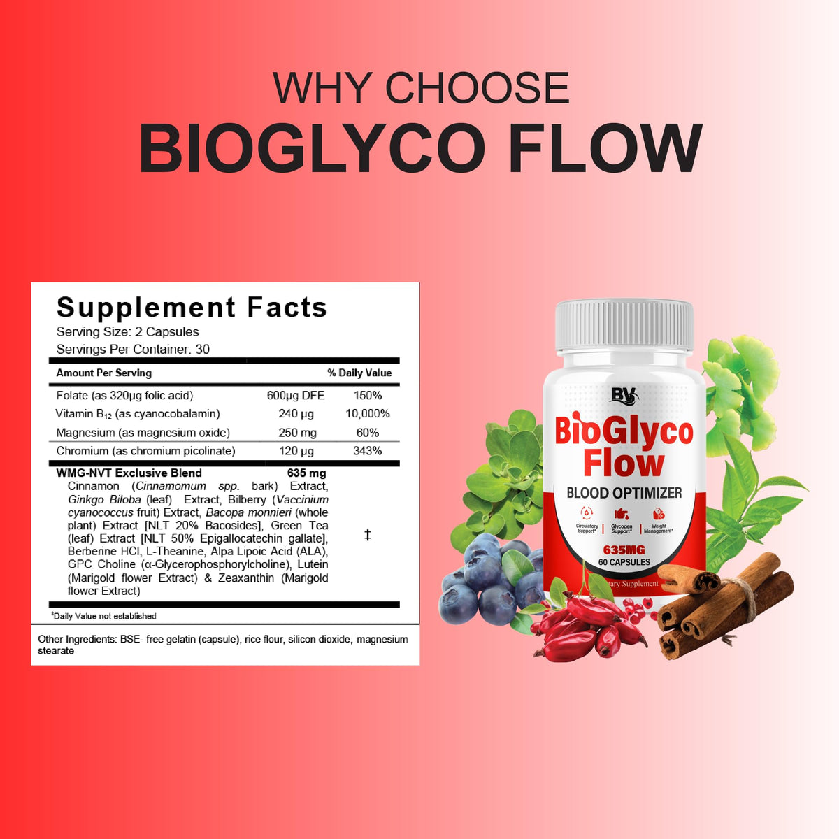 BioGlyco Flow Advanced Daily Multivitamin Health Support and All Natural Wellness Supplement Formula, BioGlyco Flow Premium Health and Wellness Support Formula Supplement (2 Pack - 120 Capsules) BLUE VIBE