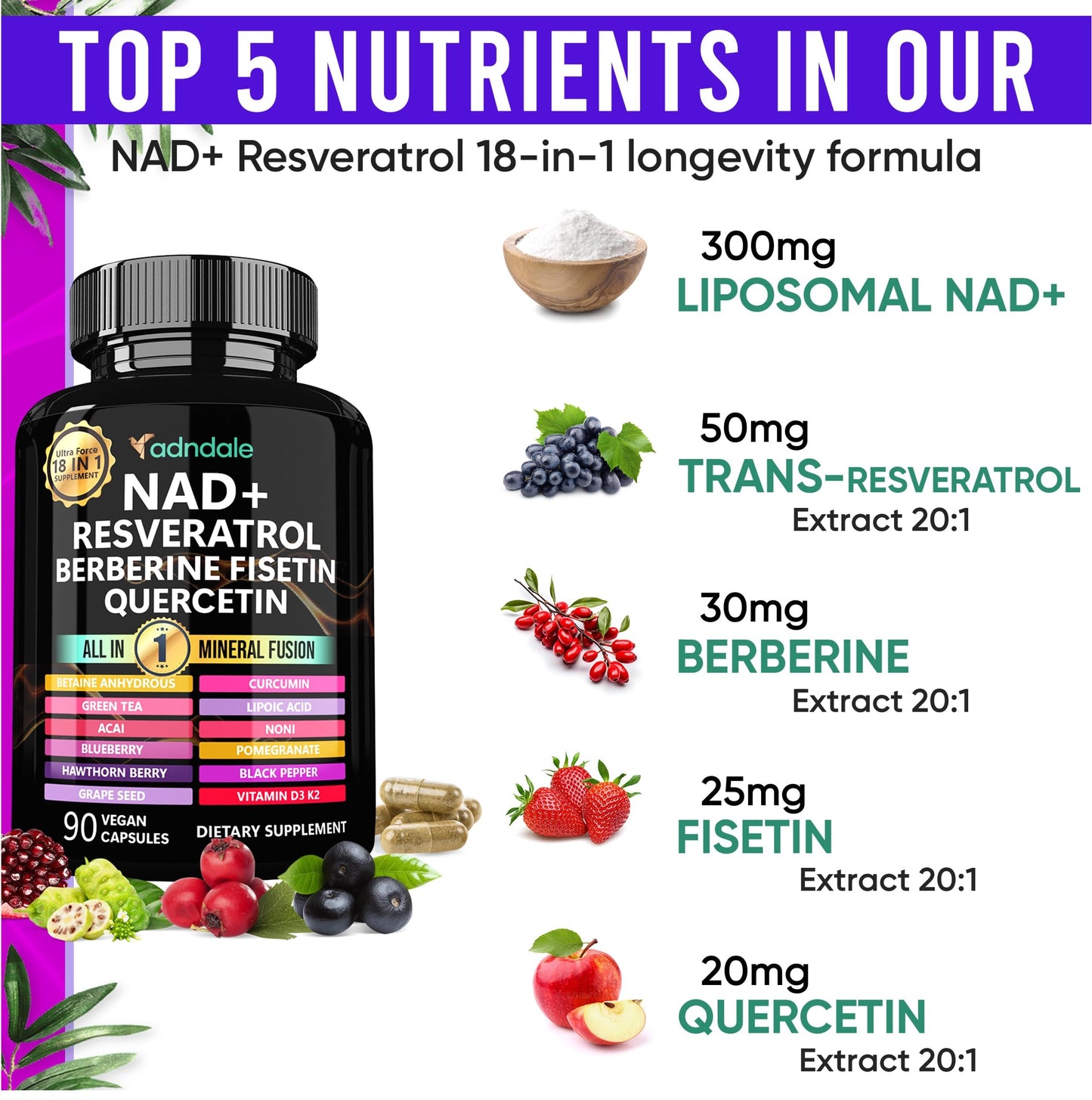 Adndale Liposomal NAD Supplement. Longevity Formula NMN Supplement Alternative. 90CT Advanced NAD+ Resveratrol Adndale