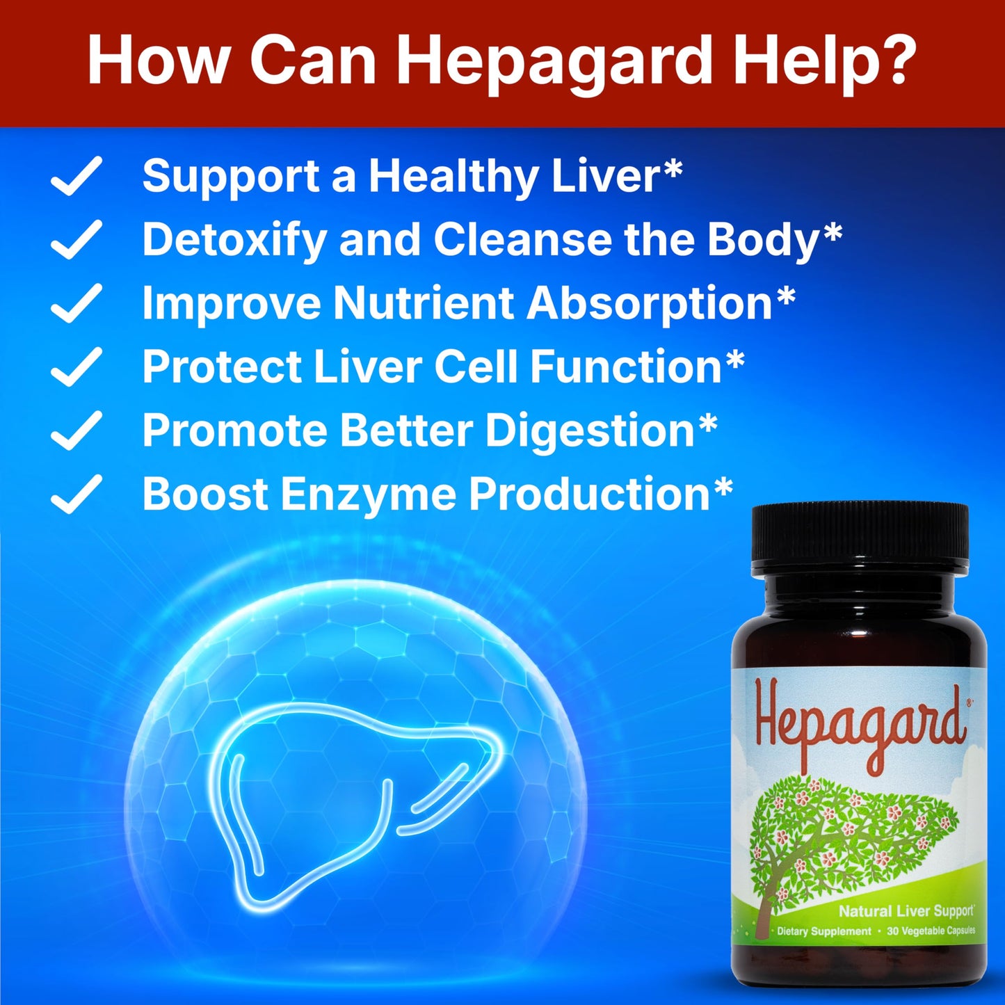 Hepagard - Natural Liver Support Supplement with N-Acetyl Cysteine (NAC) - Non-GMO, Vegan, Gluten-Free Hepagard