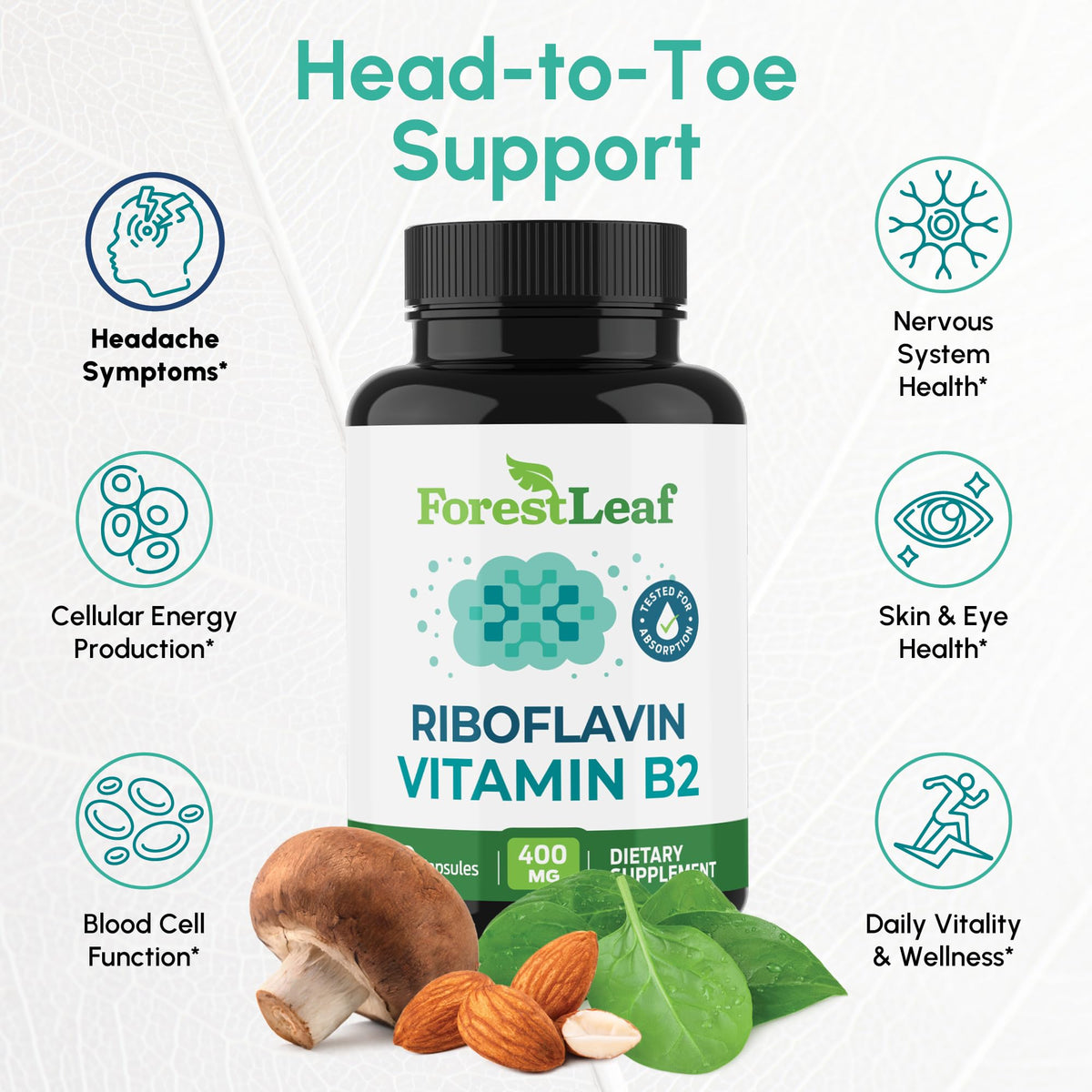 ForestLeaf Vitamin B2 Riboflavin 400mg - Energy, Skin & Cellular Health Supplement - Nervous System Support - Vitamin B 2 VIT B - Non-GMO & Gluten Free ForestLeaf