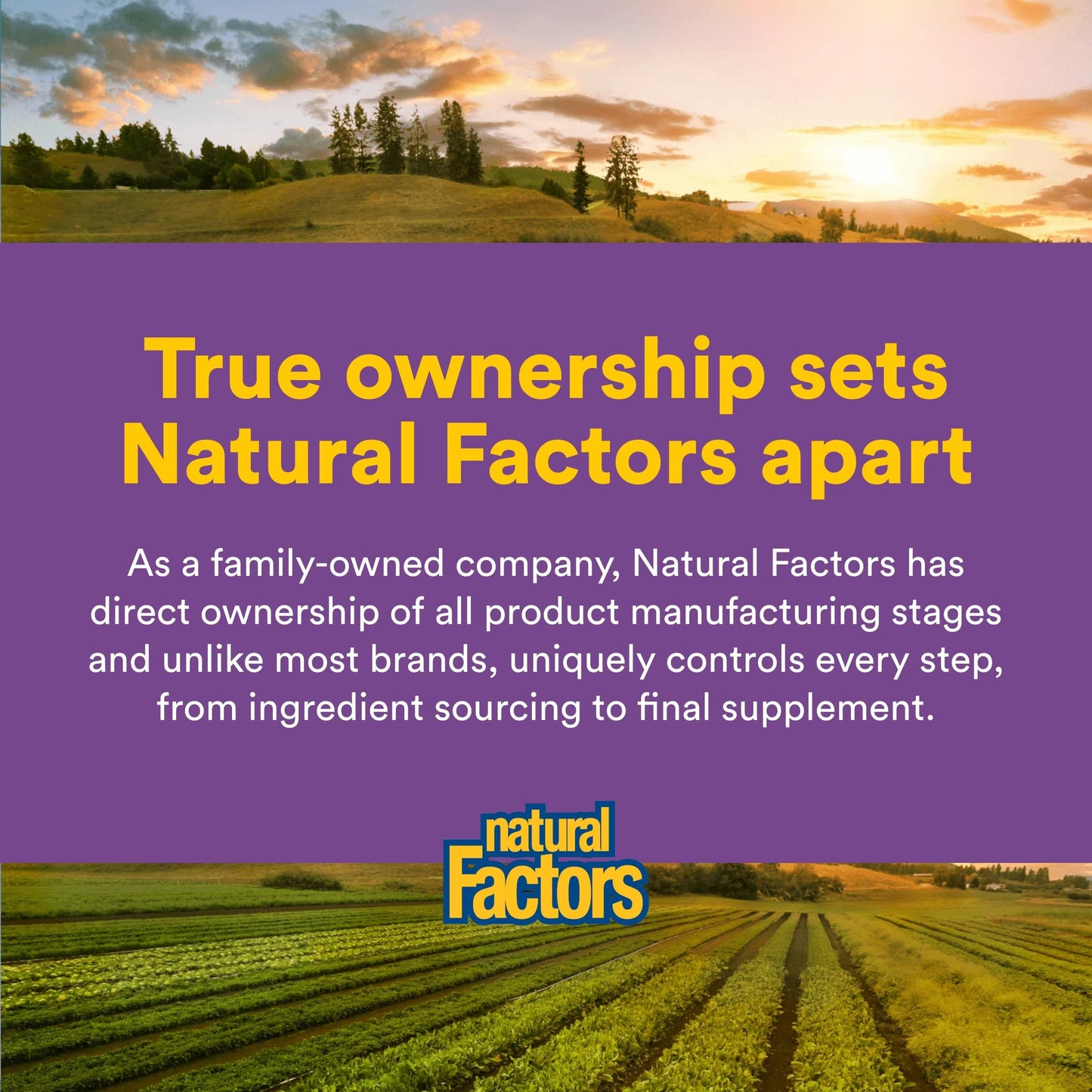 Natural Factors Pharma GABA - Dietary Supplement Supports Calm Sleep & Sleep Quality - Natural, Fast-Working Supplement Aids Focus & Brain Health - 60 Chewable Tablets (60 Servings) Natural Factors