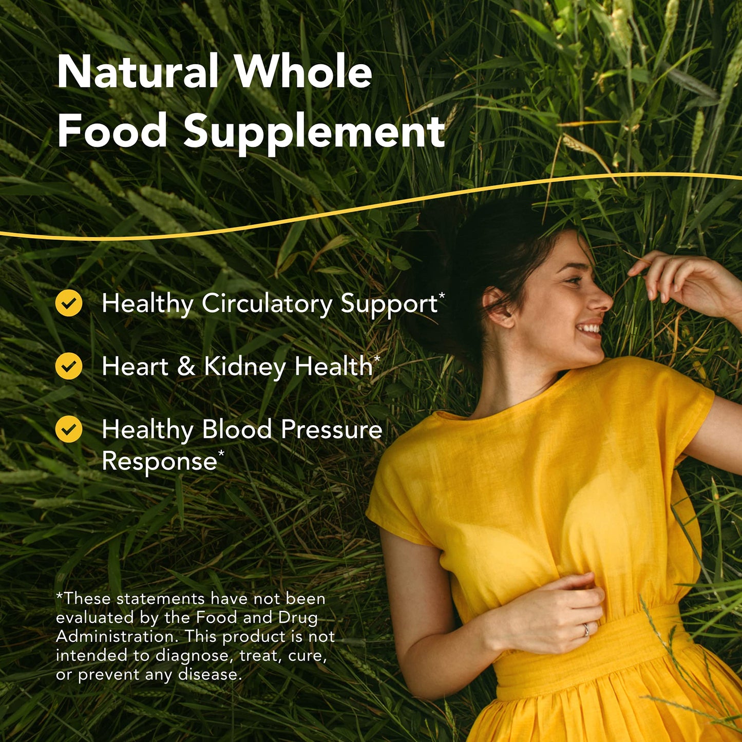 NORTH AMERICAN HERB & SPICE Hyper-eeZ - 90 Vegi Caps - Herbs, Spices, Flowers, Berry Blend - Blood Pressure & Circulation Support - Assists with Heart, Circulation, Kidneys - Non-GMO - 90 Servings NORTH AMERICAN HERB & SPICE
