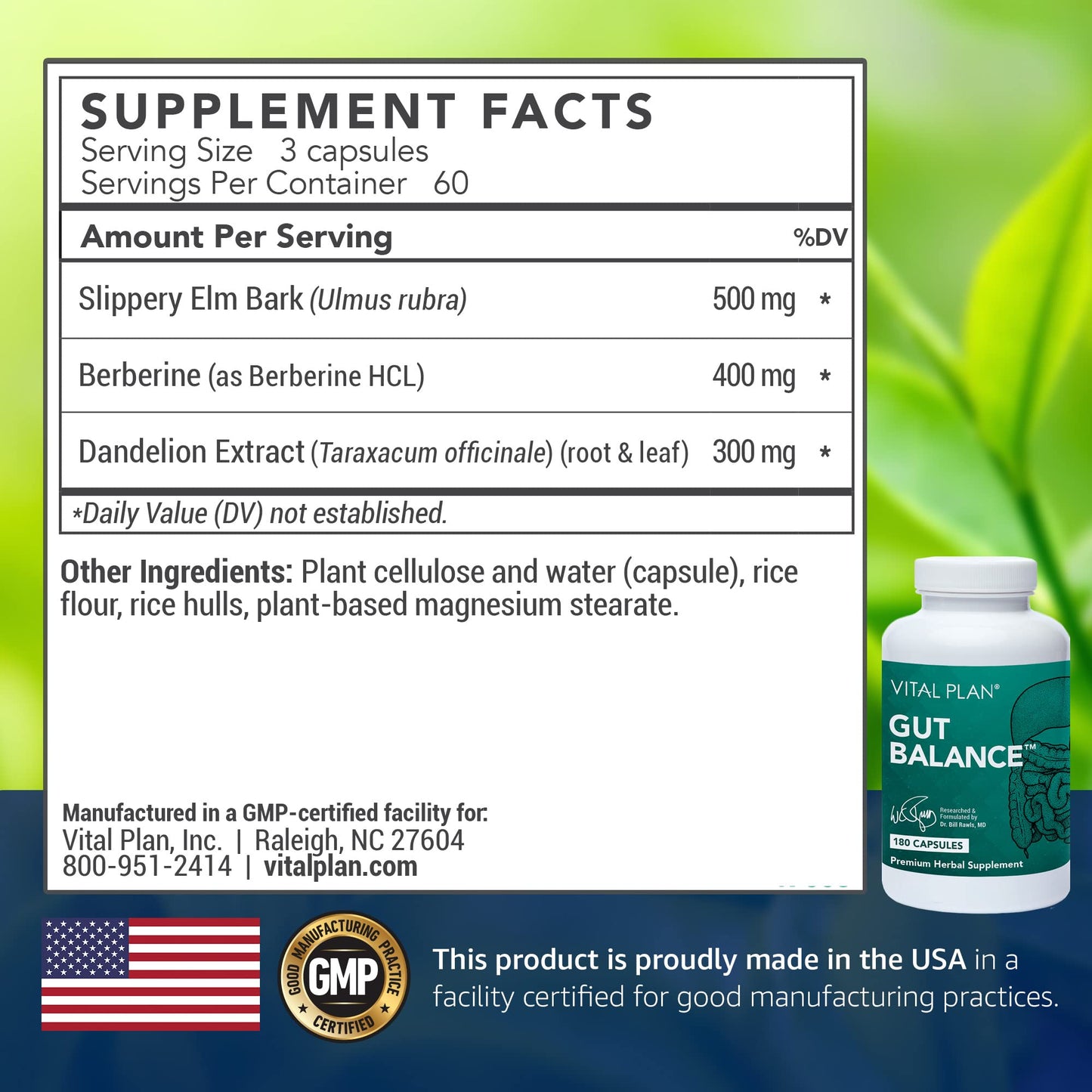 Vital Plan Gut Balance Supplement by Dr. Bill Rawls - Advanced Digestive Health Support Formula w/Clinical-Grade Slippery Elm Bark, Berberine & Dandelion Extract for Women & Men (180 Capsules) Vital Plan