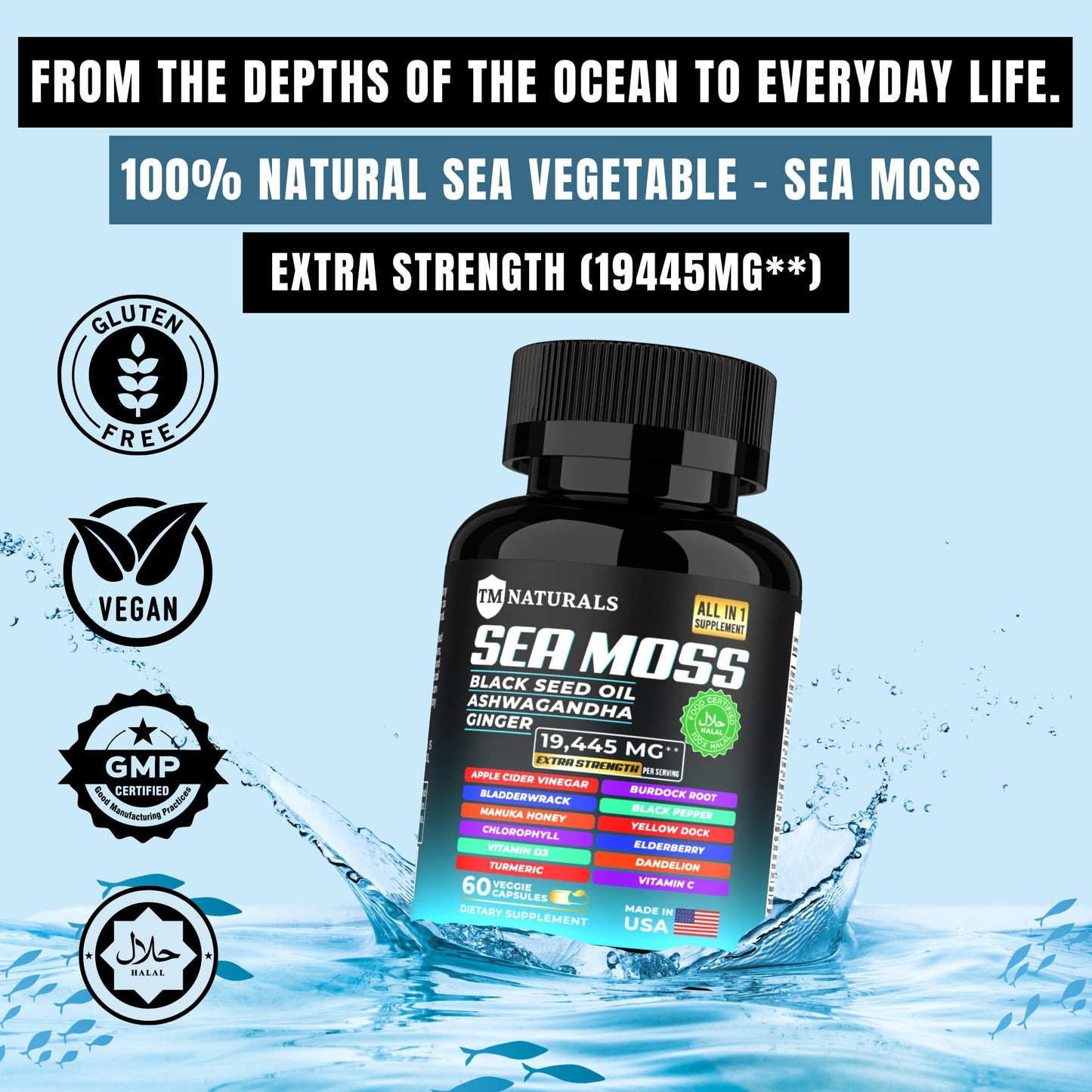 TM NATURALS Sea Moss with Black Seed Oil, Vitamin C, Ashwagandha and Turmeric for Immune Support & Energy - 60 Vegan Capsules + Free Pill Box TM NATURALS