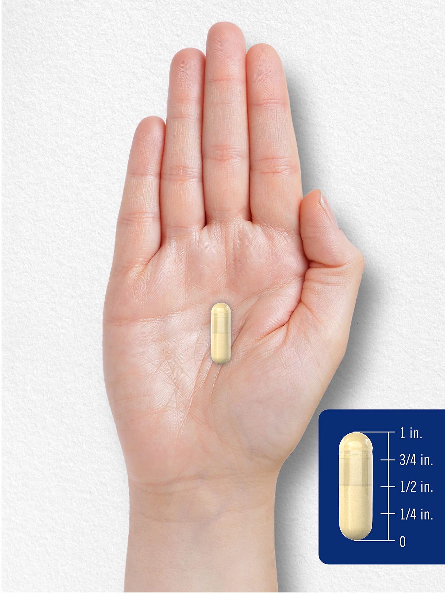 Carlyle Gelatin Capsules | 2160 mg | 250 Pills | with Silica Optimizer | Non-GMO, and Gluten Free Supplement Carlyle