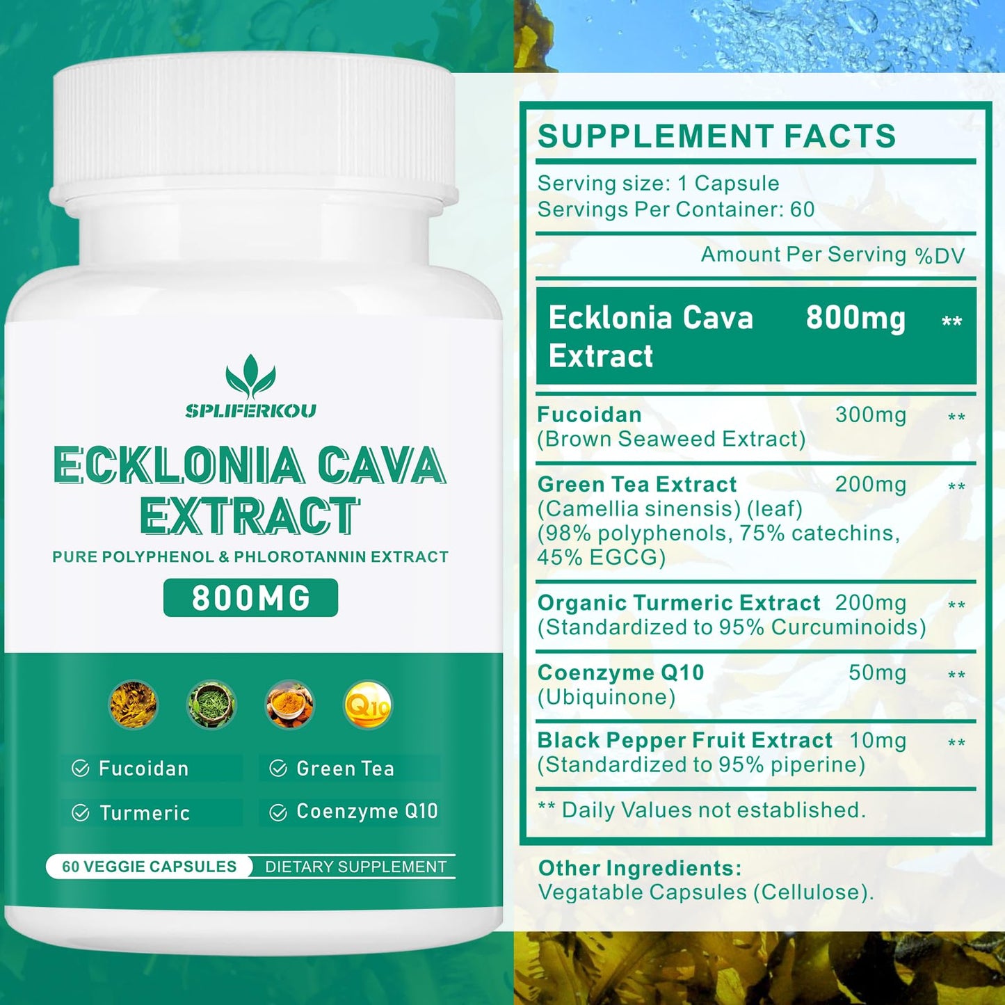 Spliferikou Ecklonia Cava Extract, 800mg, 60 Veggie Capsules with Fucoidan, Green Tea, Turmeric, CoQ10, Dietary Supplement Spliferkou
