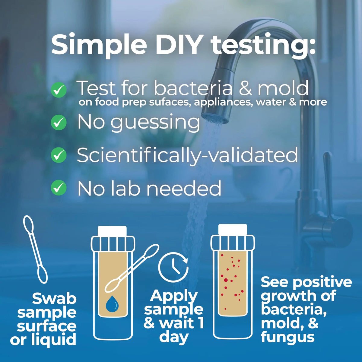 #1 Home, Kitchen, & Appliance Microbial Growth Test Kit – Simple DIY Screening for Bacteria, Mold, & Fungus – Know Your Home is Clean – Made in USA (1 Kit = 4 Bac + 4 Mold Tests) Detekt