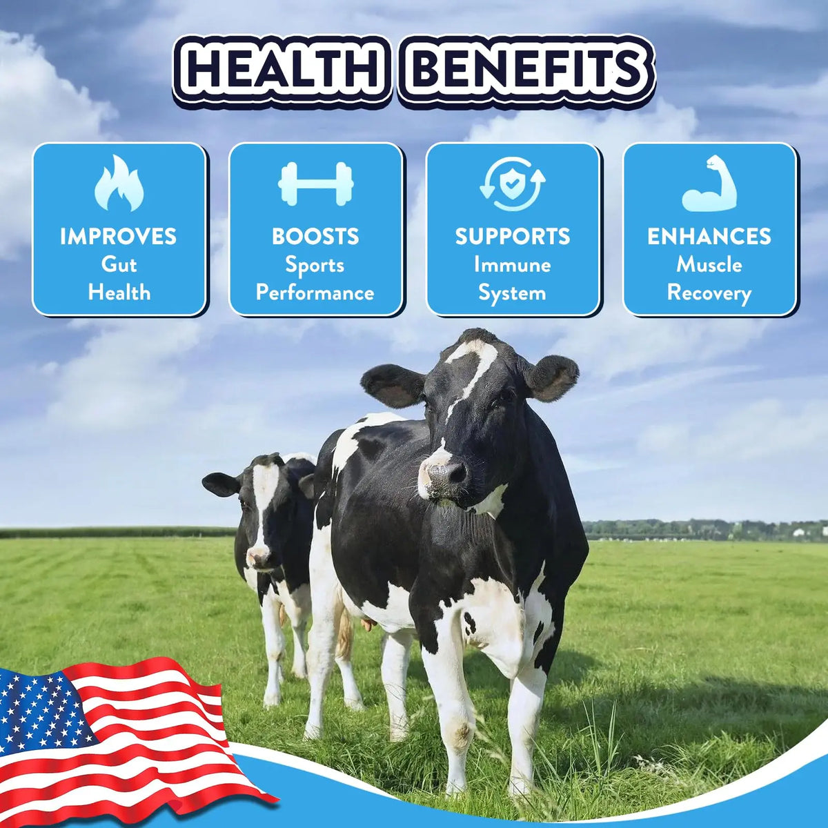 Equip Foods Core Colostrum - 100% Grass Fed Colostrum Powder 3,000mg, 40% IgG Equip