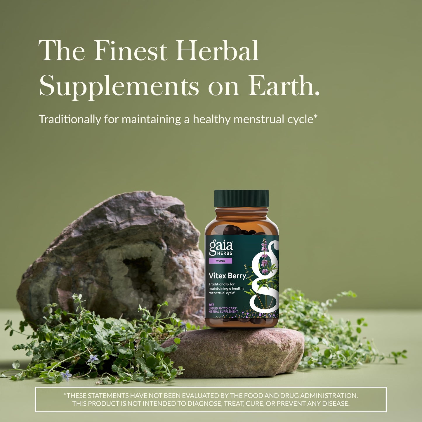 Gaia Herbs Vitex Berry - Vitex Traditionally Used to Support Hormone Balance for Women & a Healthy Menstrual Cycle* - 60 Vegan Liquid Phyto-Caps (30 Servings) Gaia Herbs