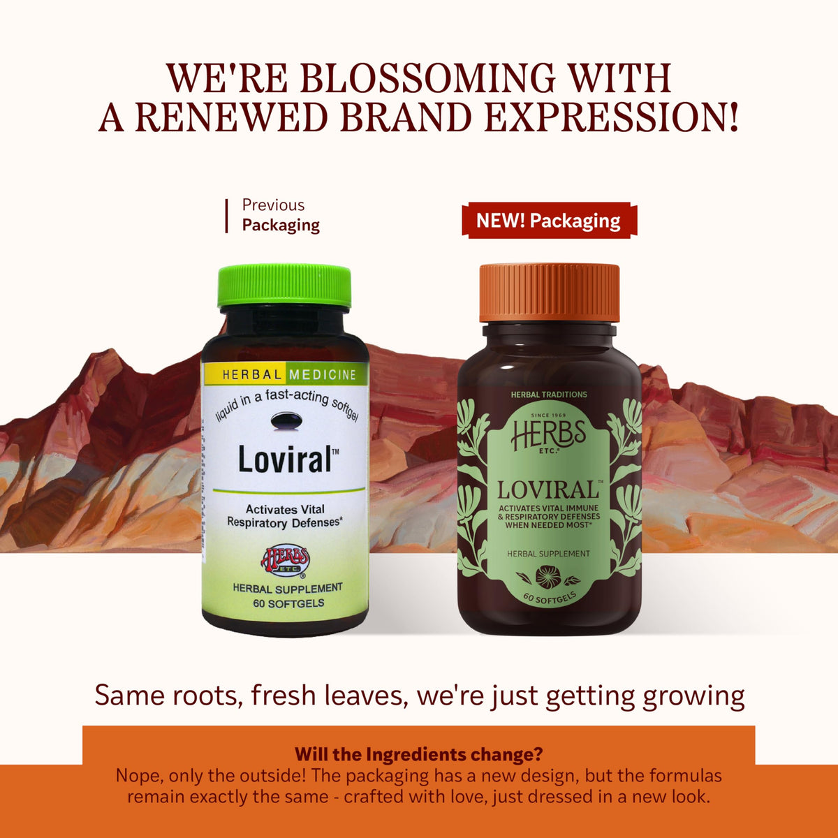 Herbs Etc. Loviral - Lung Health Supplement for Respiratory Defense & Support - Herbal Supplement with Lomatium, Pelargonium & OSHA - Gluten-Free - 60 Softgels (60 Servings) Herbs Etc.