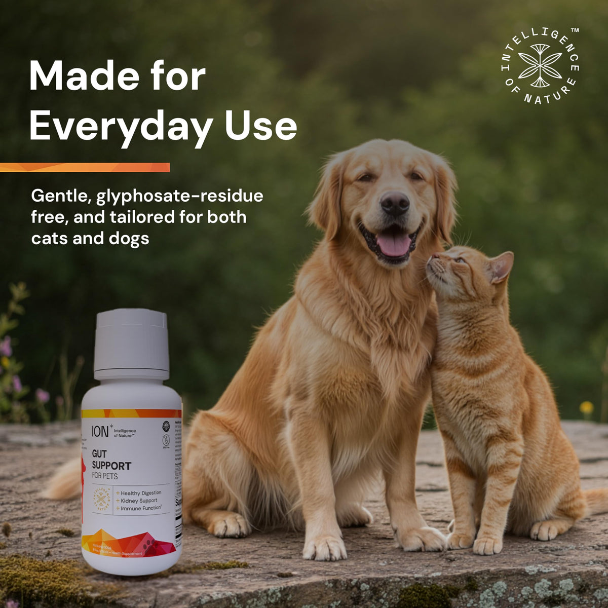 ION* Intelligence of Nature Gut Support For Pets - Liquid Probiotics Drops Alternative for Dogs & Cats, Digestive Health for Puppies, Skin & Hair Health - 16 fl oz (Pack of 1) ION* Intelligence of Nature