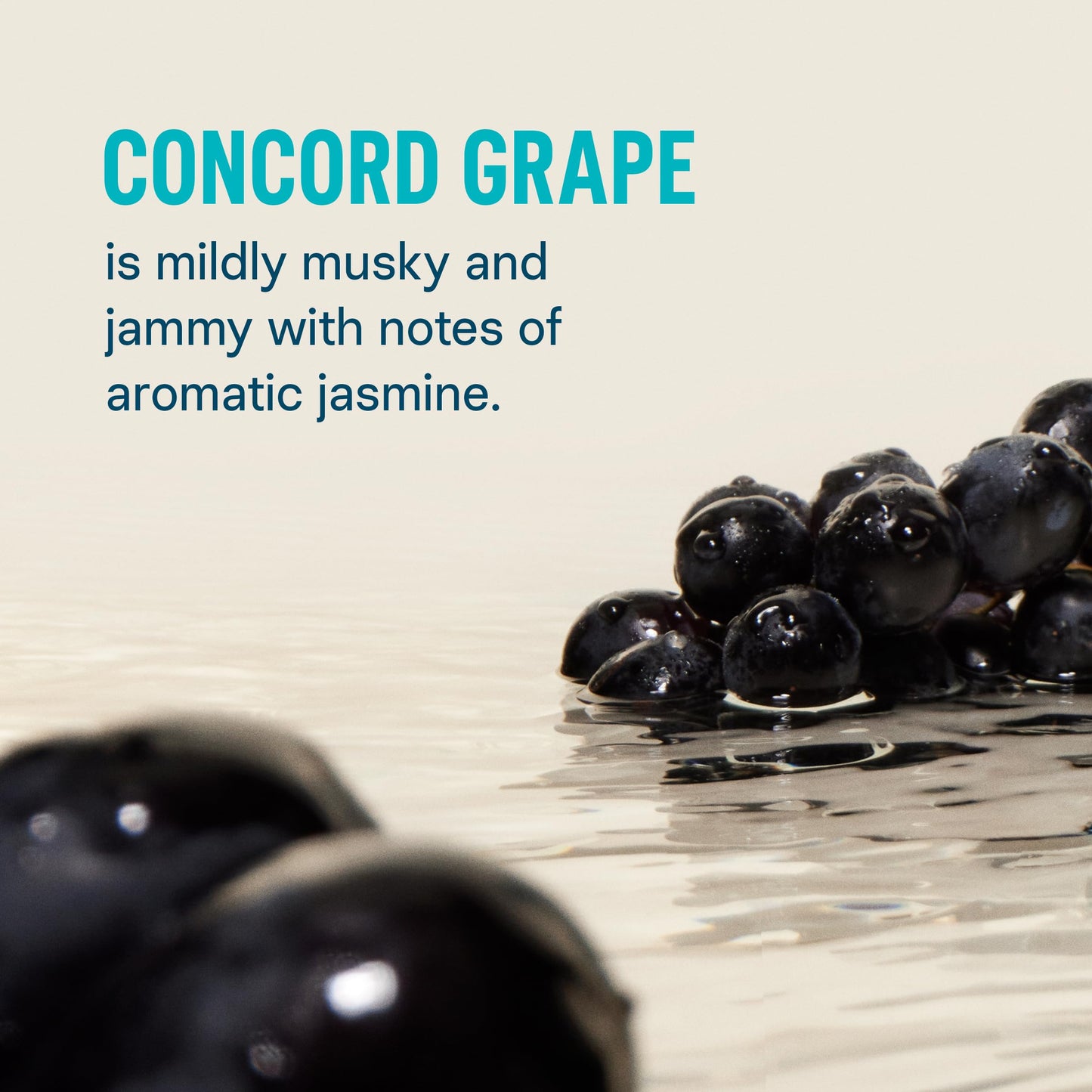 Liquid I.V.® Hydration Multiplier - Concord Grape | Electrolyte Powder Drink Mix | 1 Pack (16 Servings) Liquid I.V.