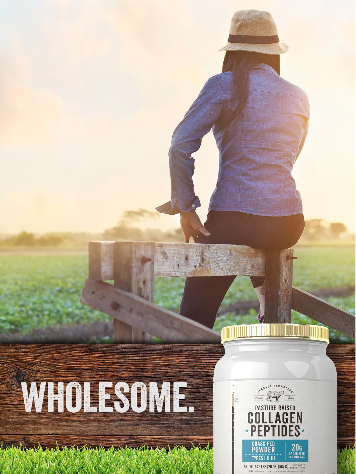 Carlyle Grass Fed Collagen Peptides Powder 20oz | Unflavored | Pasture Raised | Types I & III | 20g of Collagen Per Daily Dose | Non-GMO, Gluten Free | by Herbage Farmstead Carlyle