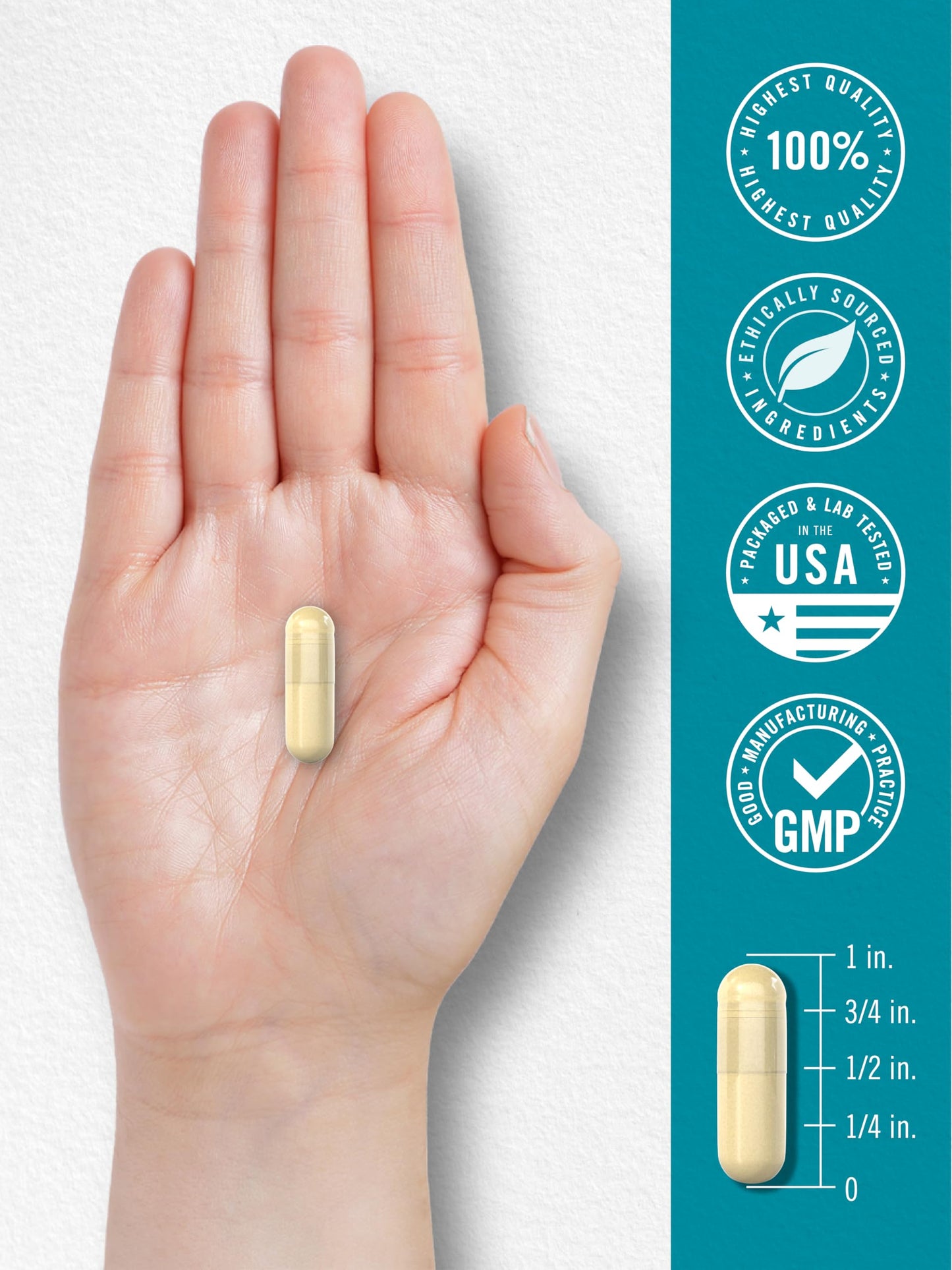 Carlyle Chicken Sternum Collagen Type 2 | 3000mg | 120 Capsules | Plus Hyaluronic Acid | Non-GMO, Gluten Free Supplement Carlyle