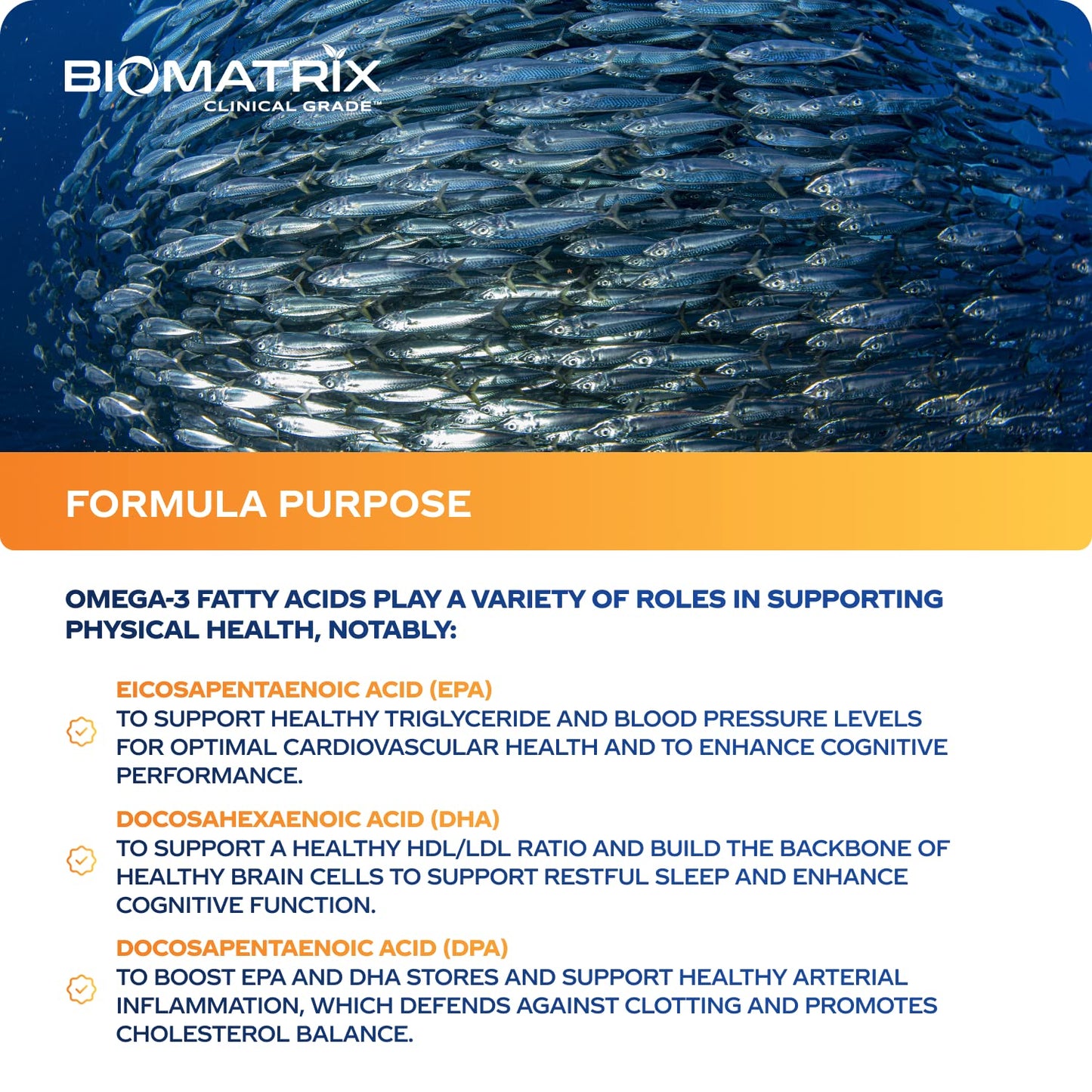 Support Omega EPA DHA Omega 3 Fish Oil Supplement - Cardiovascular, Musculoskeletal Support (120 Gel Capsules) BioMatrix