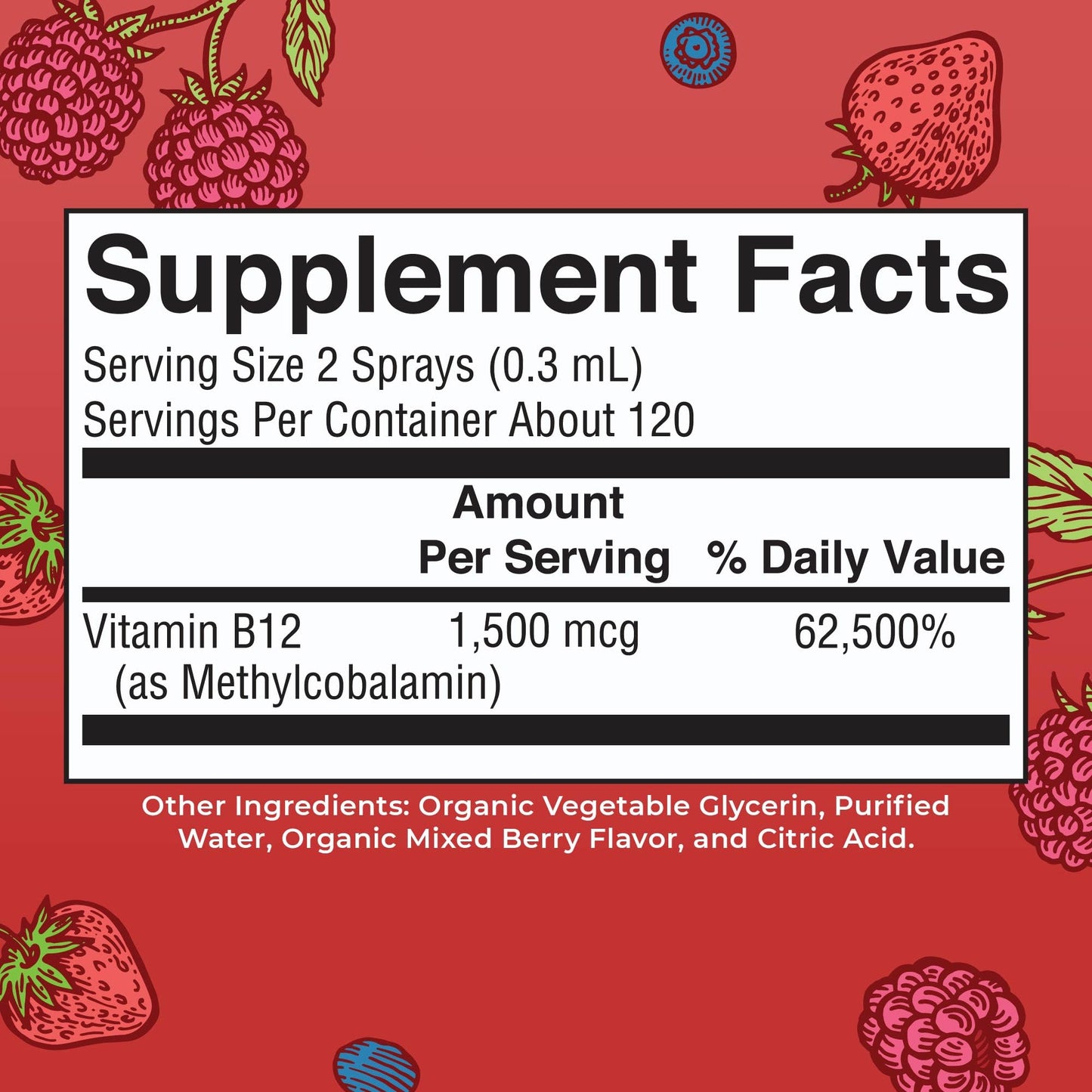 MaryRuth Organics Methyl B12 Spray | 1,500 mcg B12 Per Serving | Methylcobalamin | Energy Metabolism | Nervous System Support | Neuro Health | Vegan | Gluten Free | Sugar Free | 1 Fl Oz MARYRUTH'S