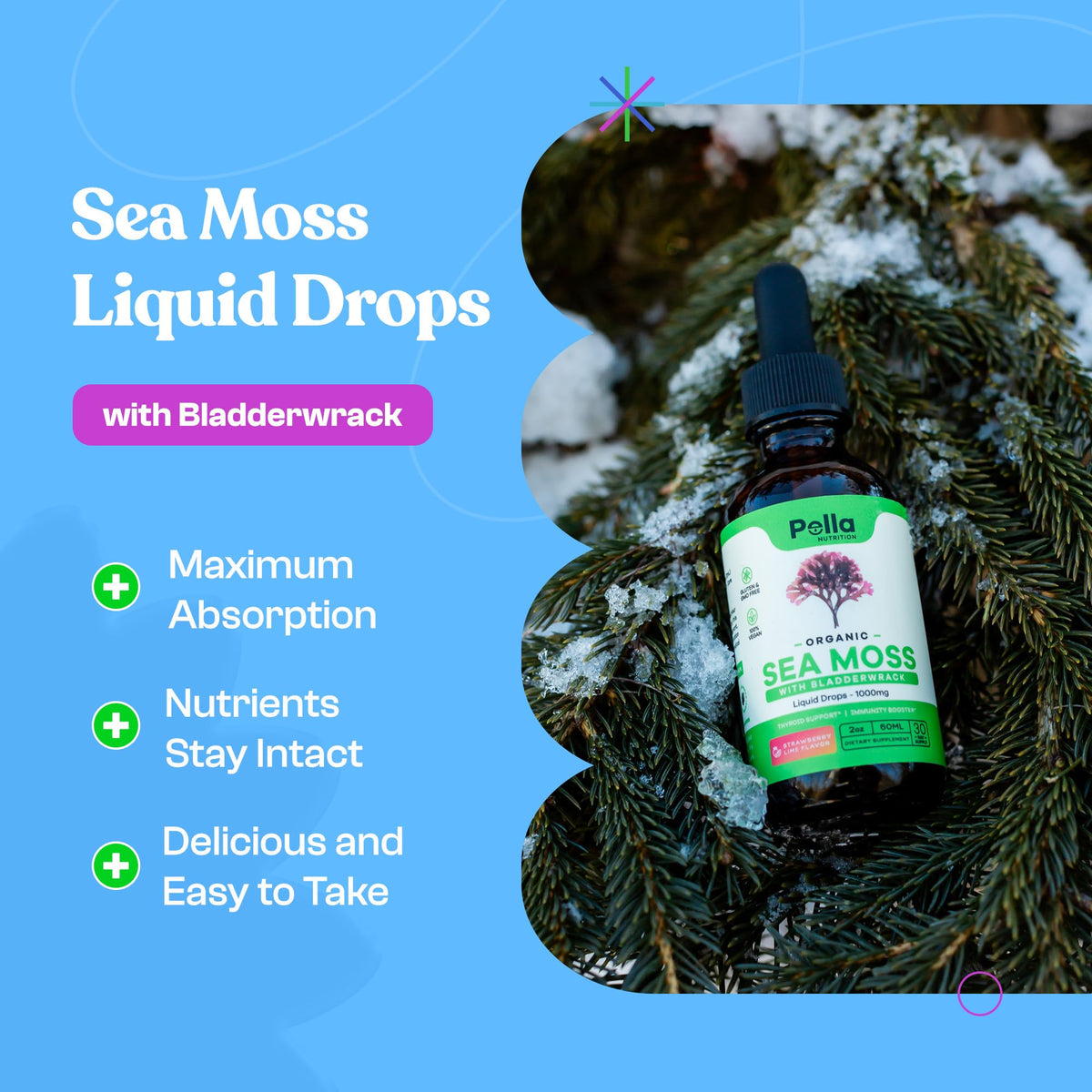 Pella Nutrition Organic Sea Moss Liquid Extract - 1000mg Irish Sea Moss, 4X Stronger Than Pella Nutrition
