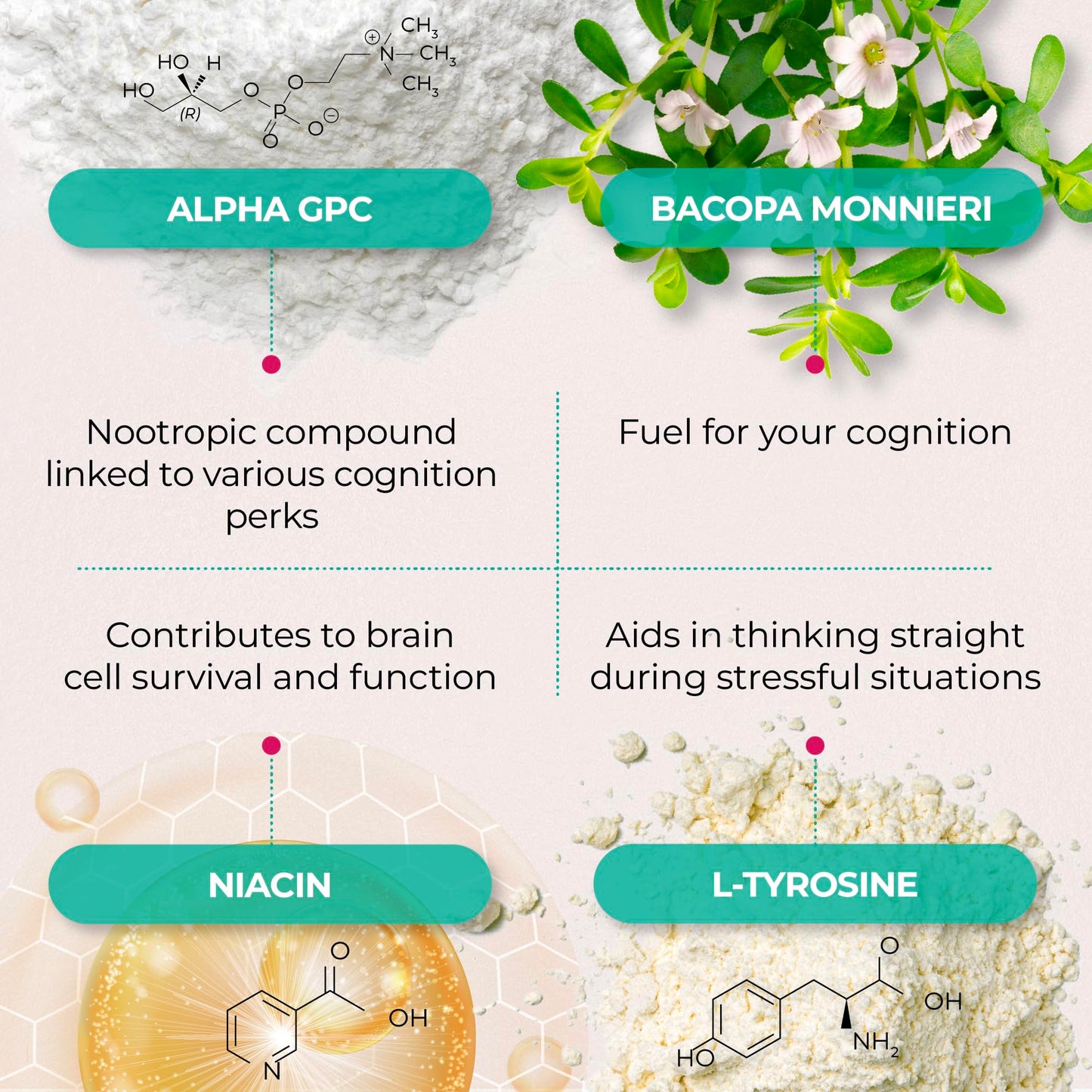 PUREHEALTH RESEARCH Ageless Brain Supplements for Memory and Focus - Nootropic Brain Health Supplement for Adults - with Bacopa Monieri, Alpha GPC, L-Tyrosine, Vitamin B6, Niacin & More, 60 Capsules PUREHEALTH RESEARCH