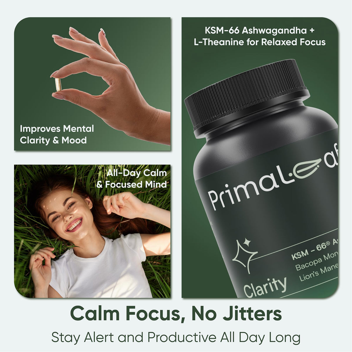 PrimaLeaf Clarity Nootropics Brain Supplement for Focus, Memory, & Stress Relief | Natural Nootropic with KSM66 Ashwagandha, Lions Mane, Bacopa, L Theanine | Cognitive & Mood Support | 60 Veg Capsules PrimaLeaf