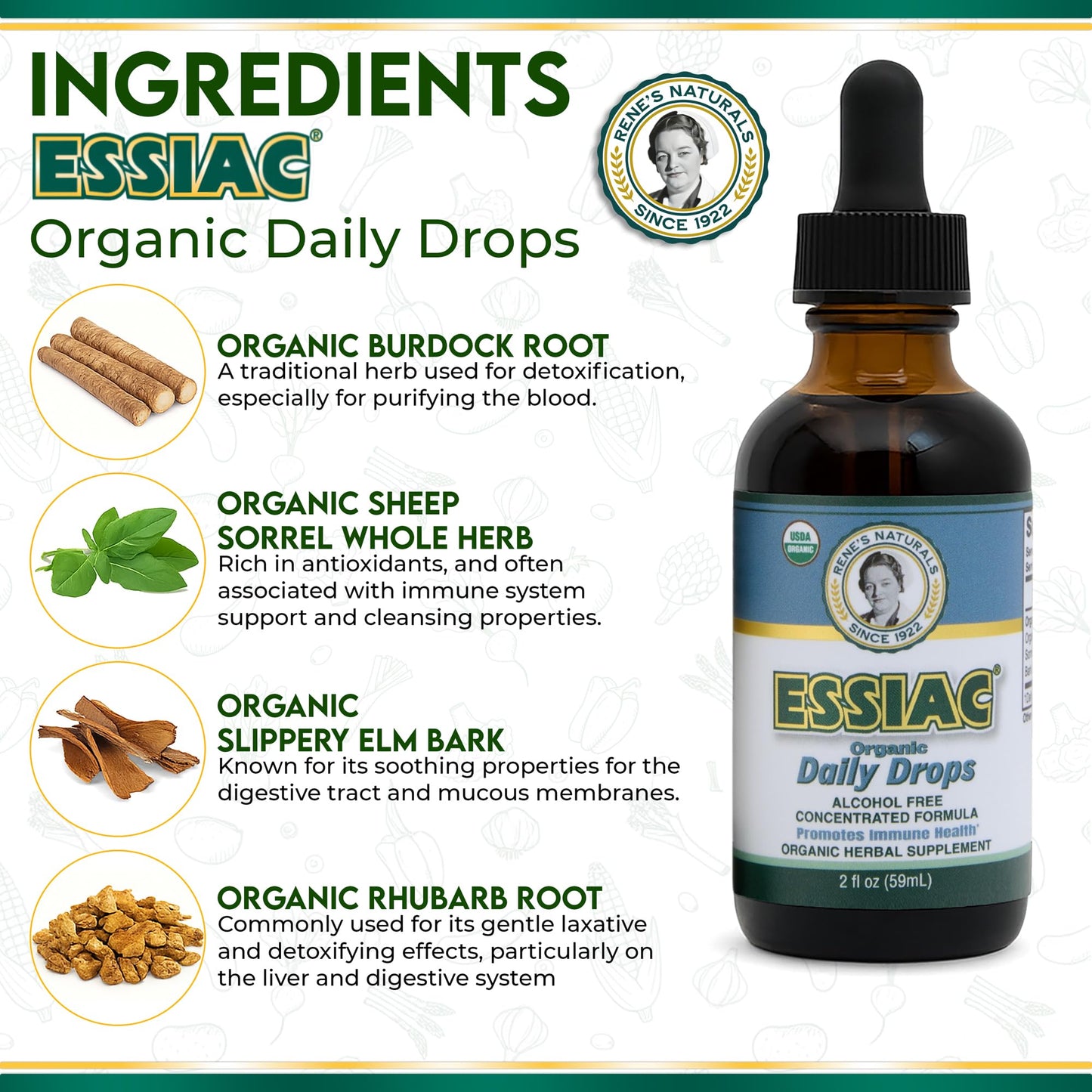 Essiac Original Tea USDA Organic Daily Drops for Enhanced Lymphatic Drainage and Immune Support | Alcohol Free Concentrated Formula | 2oz (59ml) Essiac