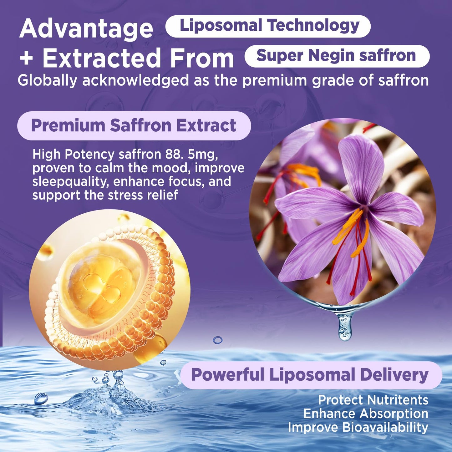 HOLLEGEND Liposomal Saffron Drops for Kids & Adults, Organic Saffron Supplement w/Magnesium, L-Theanine and Vitamins for Stress, Focus, Vision and Energy Support, Vegan, Natural Lemon Flavor, 2 FL OZ HOLLEGEND