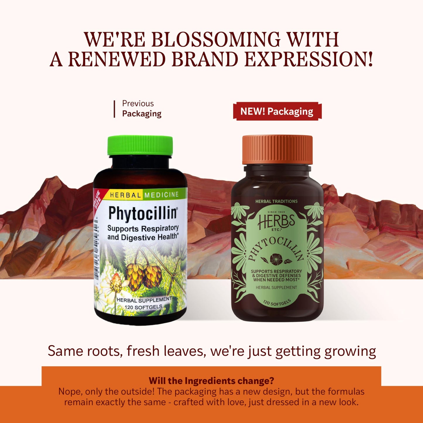 Herbs Etc. Phytocillin - Respiratory & Digestive Health Support Supplement - Herbal Formula to Support Digestion - Support Healthy Breathing - 120 Softgels (120 Servings) Herbs Etc.