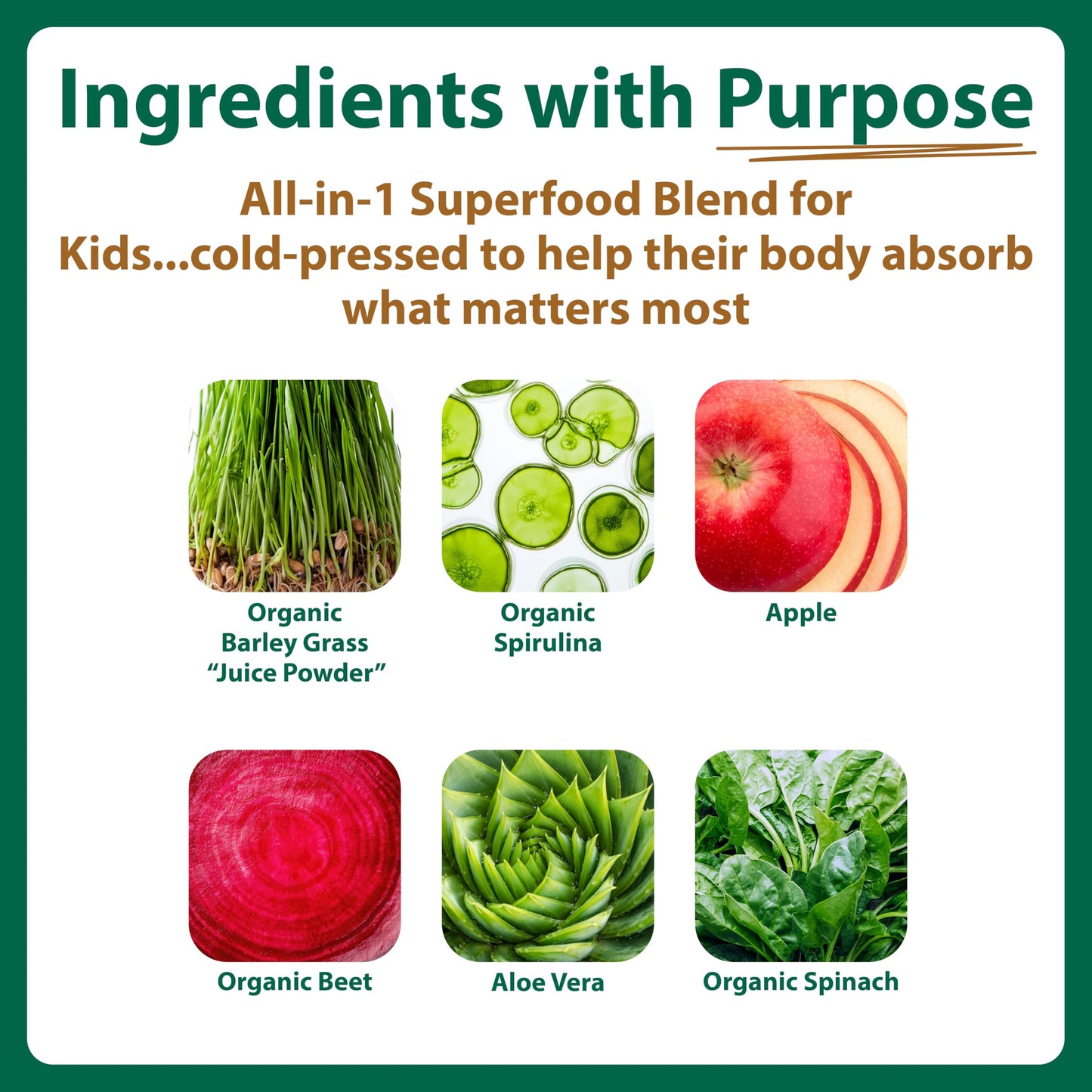 MacroLife Naturals MacroCoco Super Greens Drink, Chocolate Powder Superfood for Kids & Teens - Whole Food Fruit & Vegetable Multi-Vitamins Probiotics Digestive Enzymes & Fiber Supplement - 32 Servings MacroLife Naturals